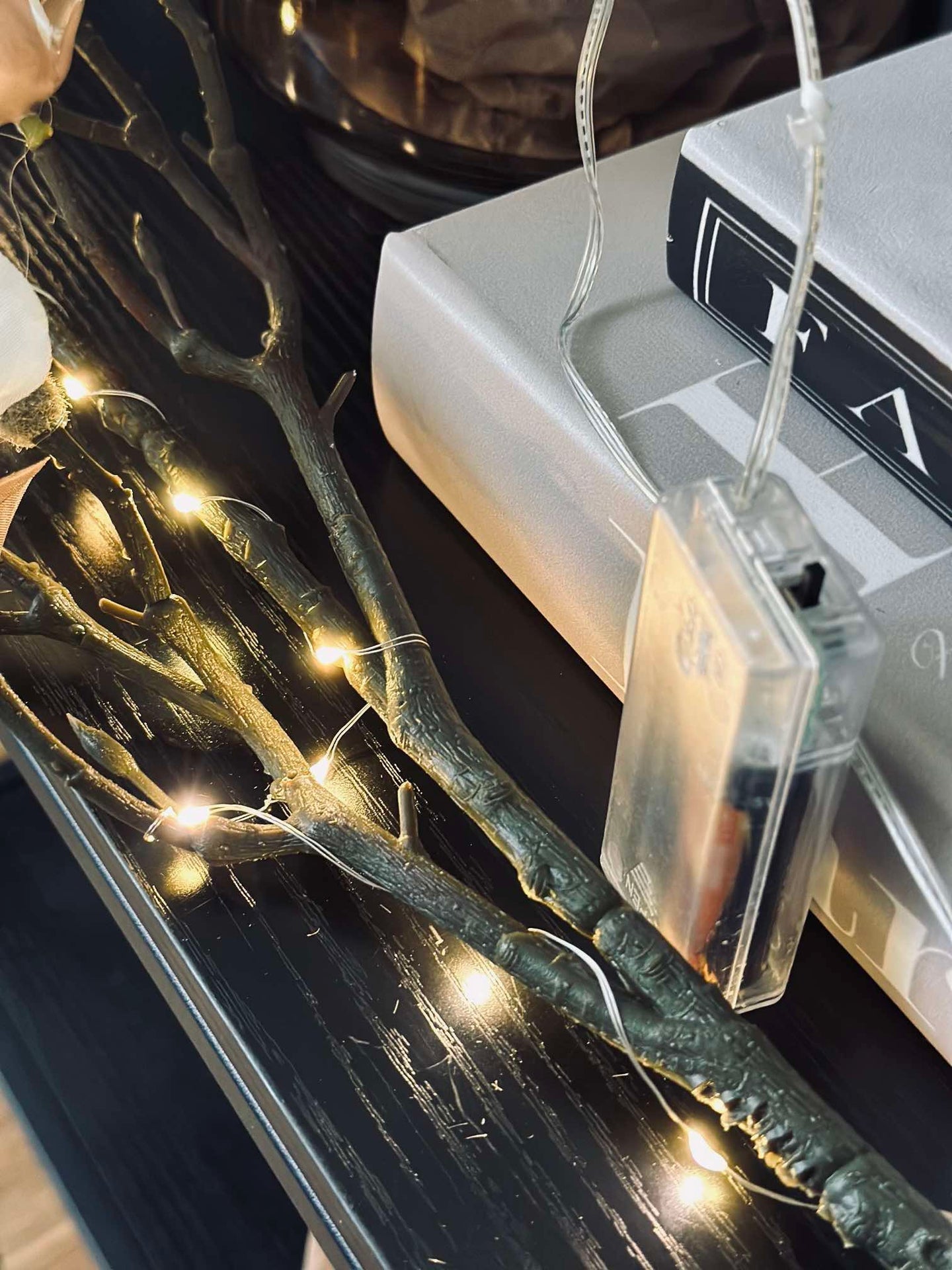 Magnoliagren med ljus