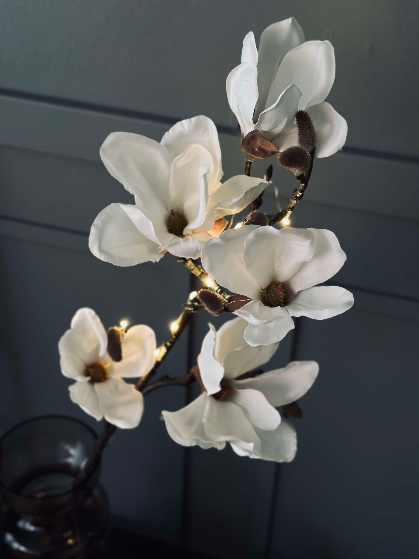 Magnoliagren med ljus
