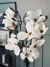 Magnoliagren - 92cm