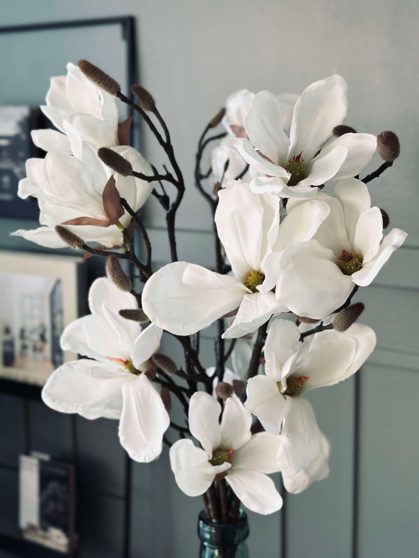 Magnoliakvist - 92 cm