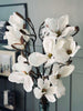 Magnoliakvist - 92 cm