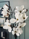 Magnoliakvist - 92 cm