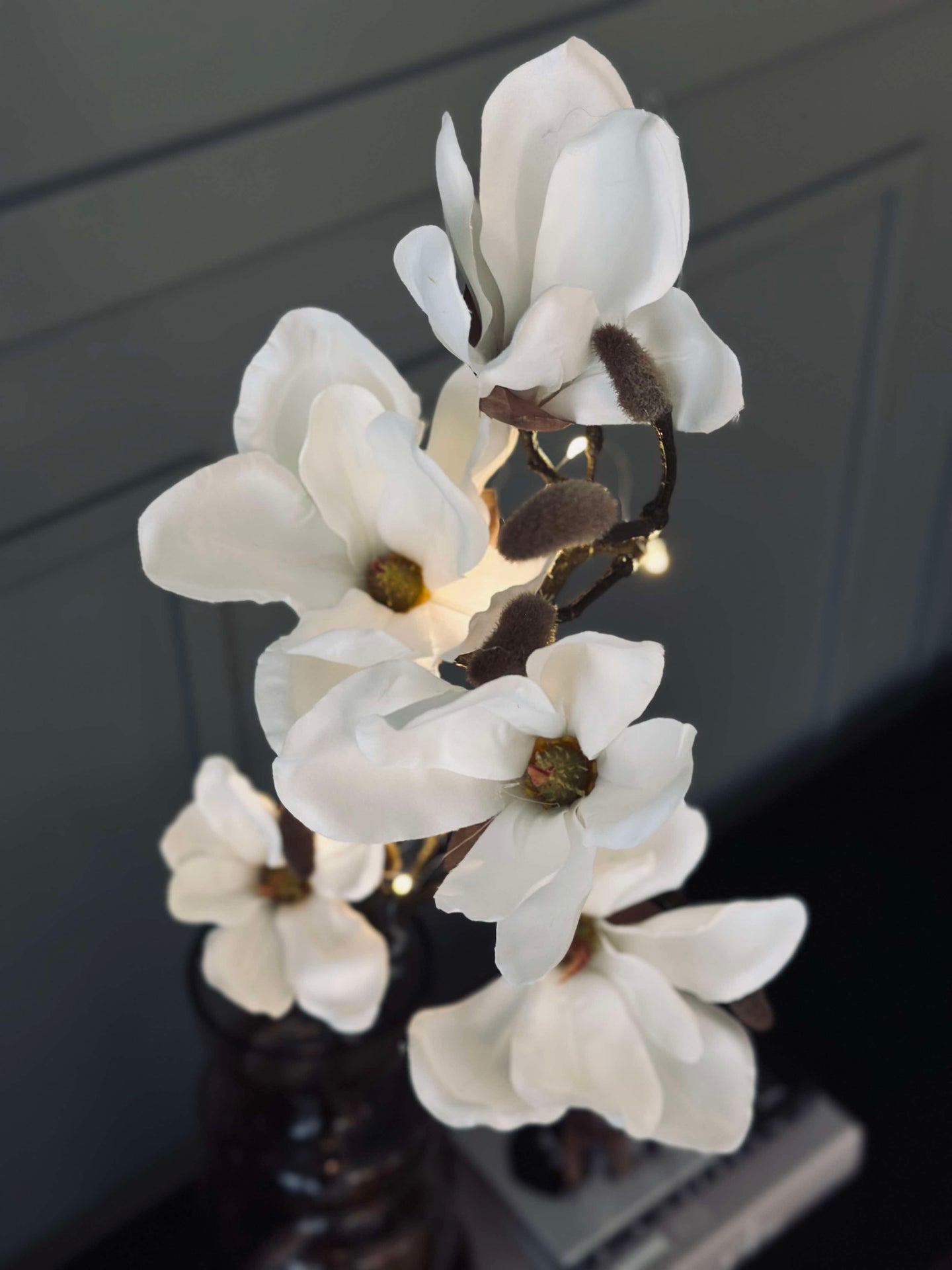Magnoliagren med ljus