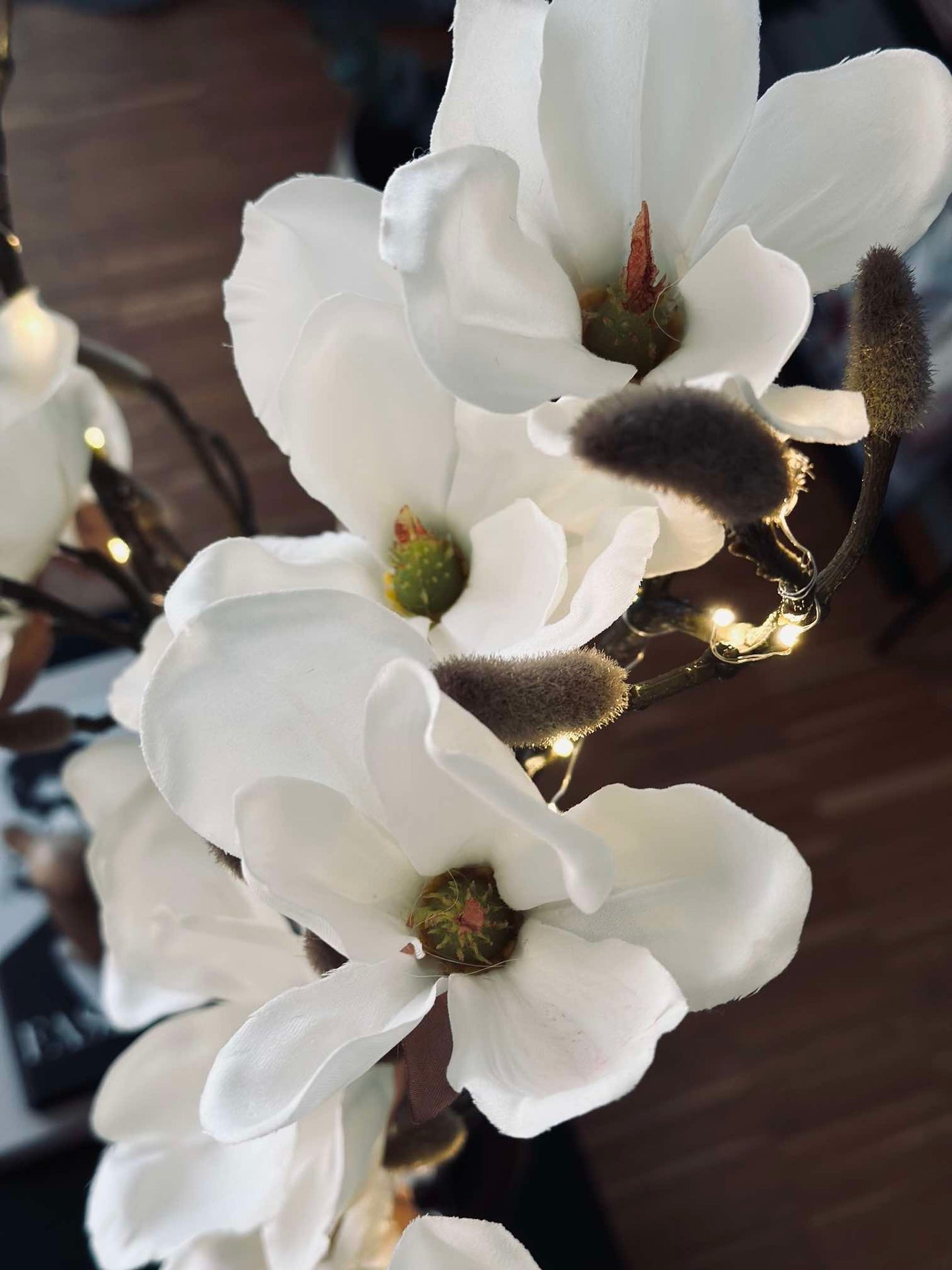 Magnoliagren med ljus