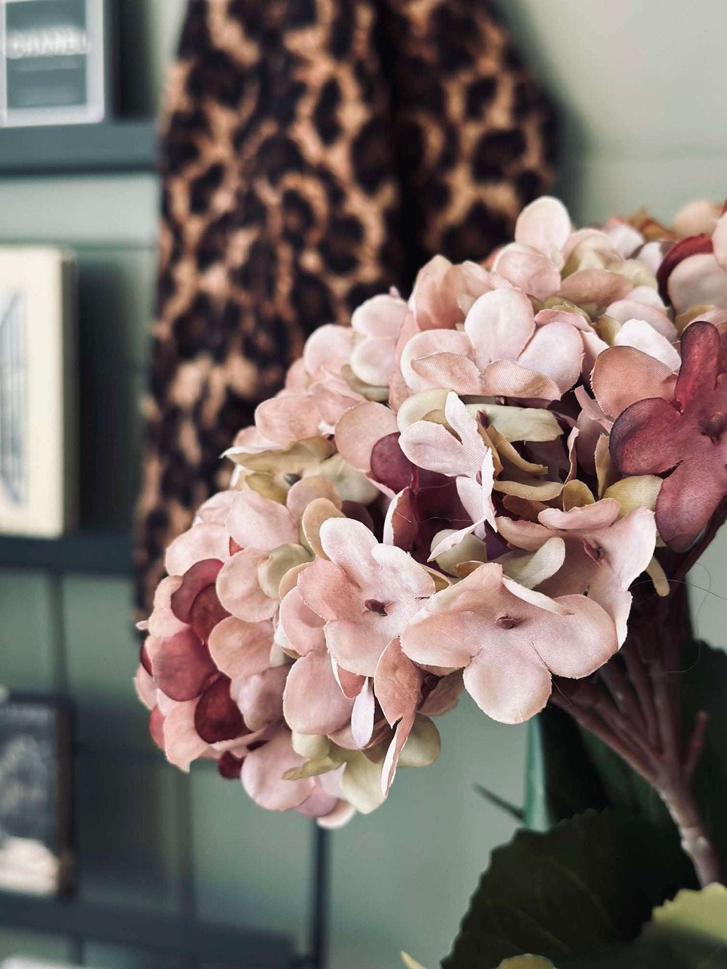 Hortensia Gammal Ros