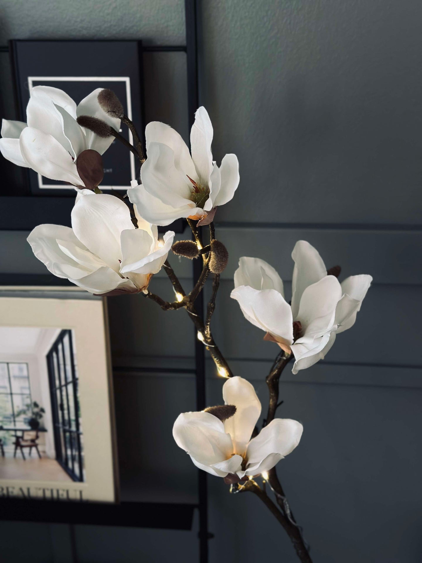 Magnoliagren med ljus