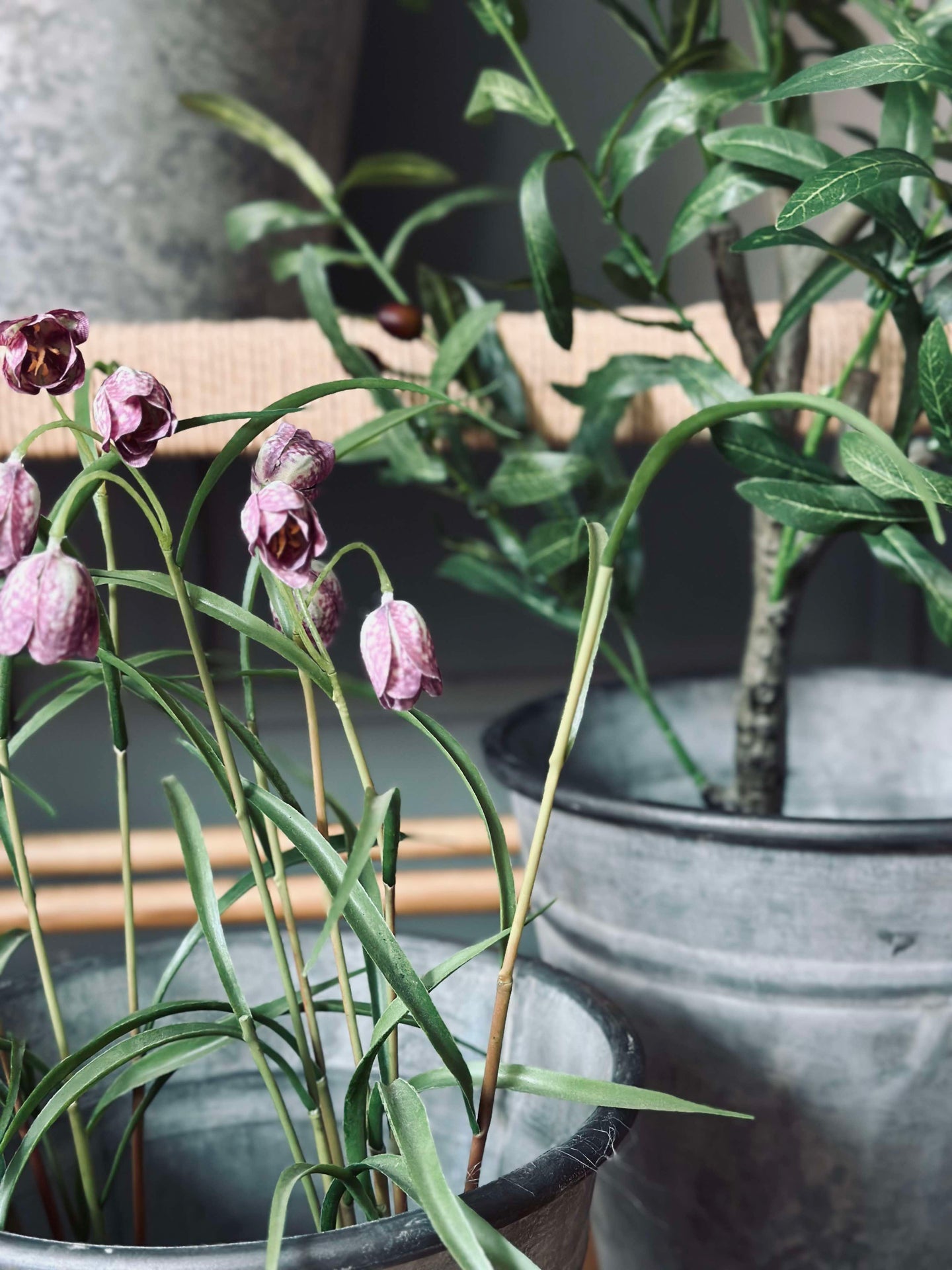 Zinkkruka - Set om 4 st.