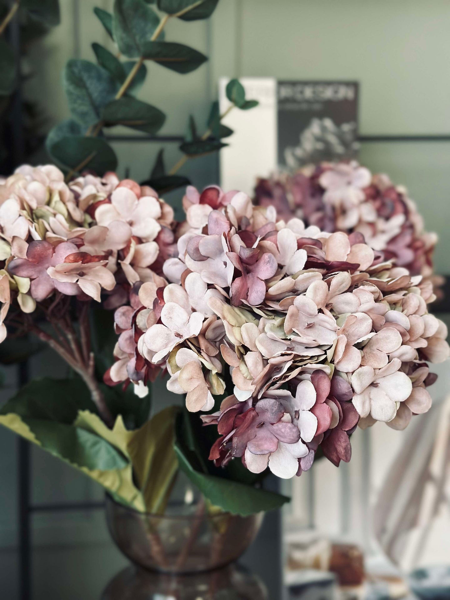 Hortensia Gammal Ros