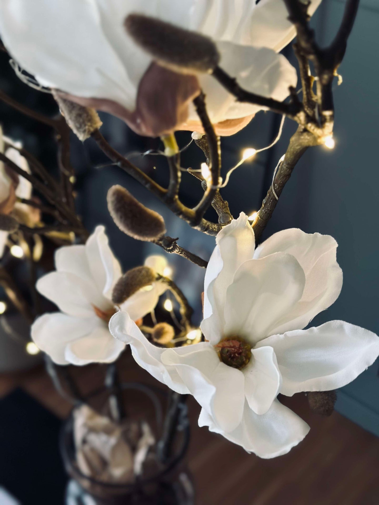 Magnoliagren med ljus