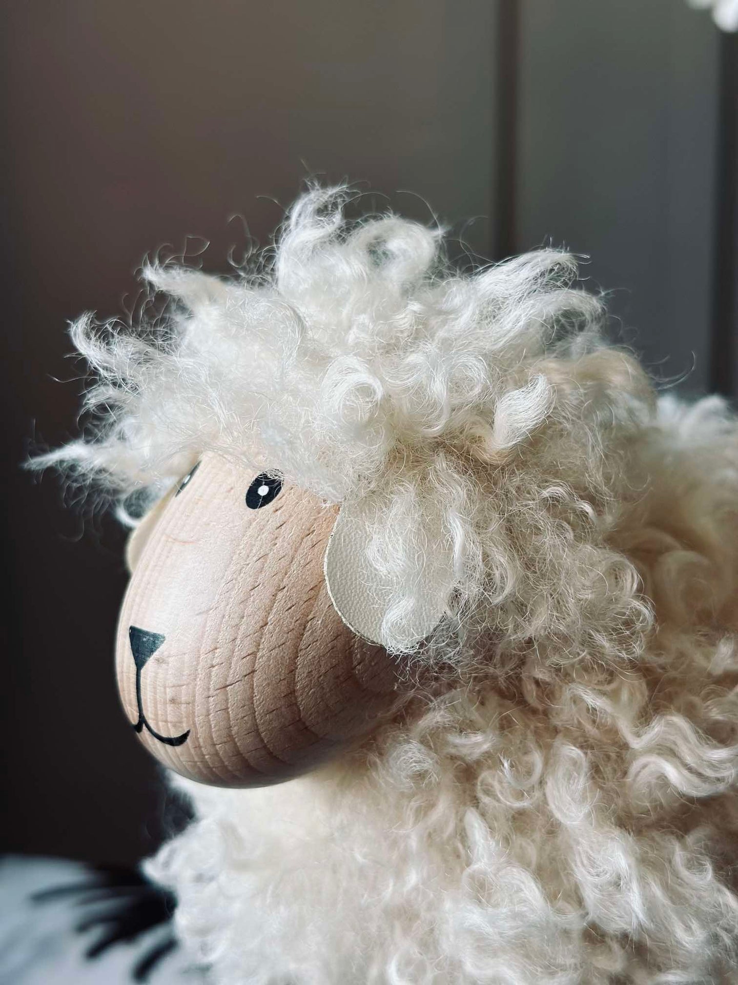 Får långhårig - Natur Stor