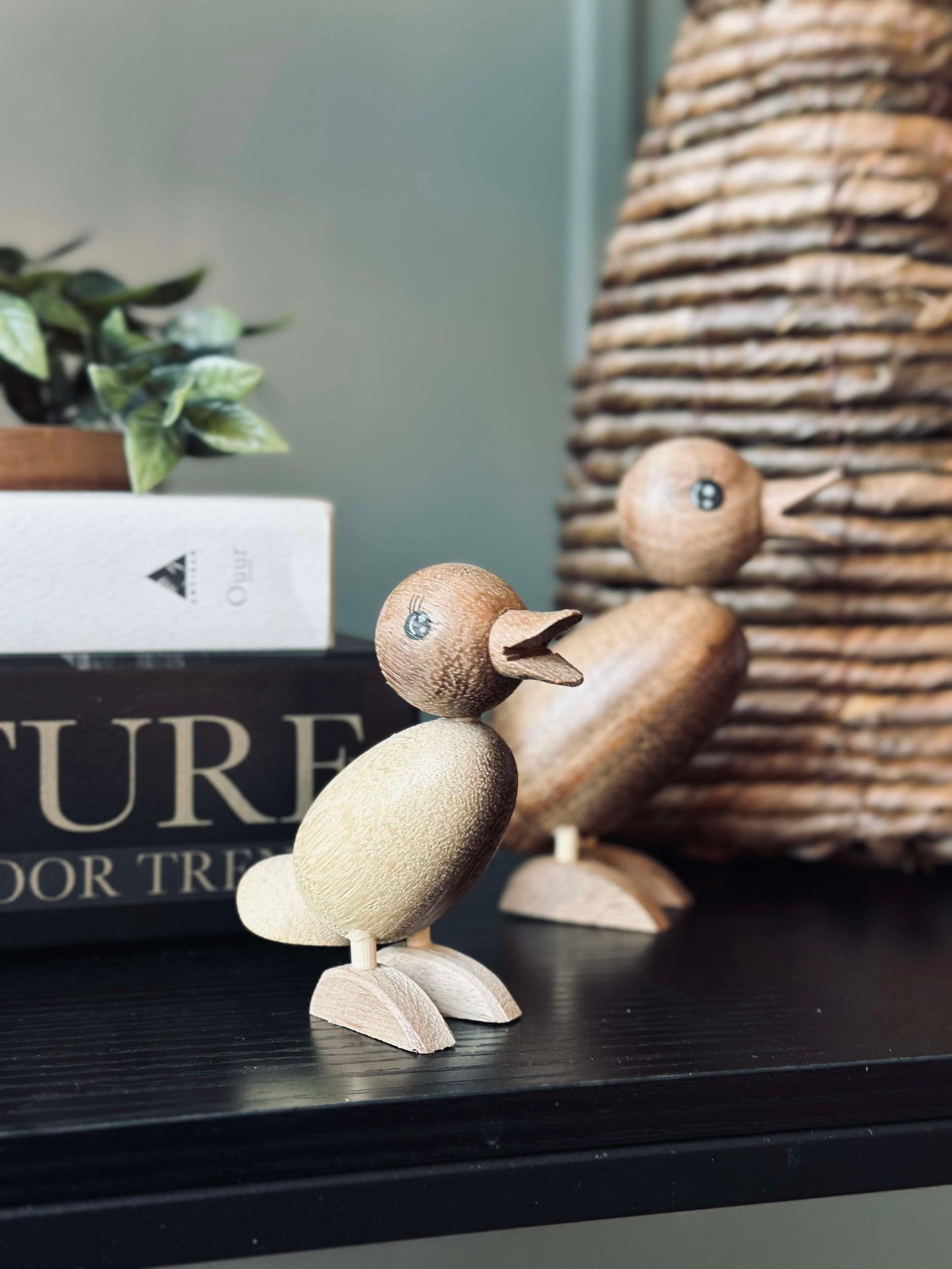 Anka Succitræ - Liten
