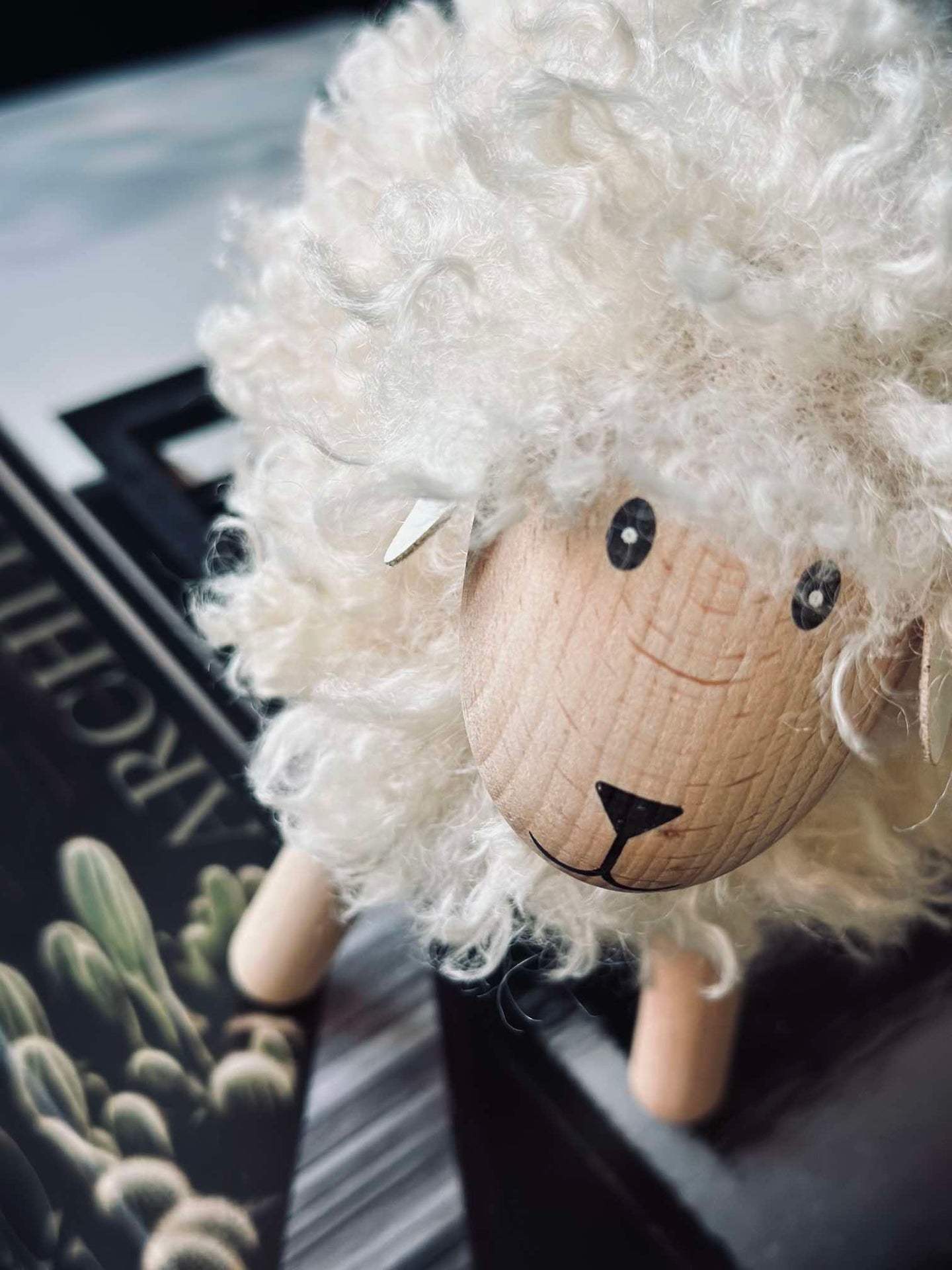 Får långhårig - Natur Stor