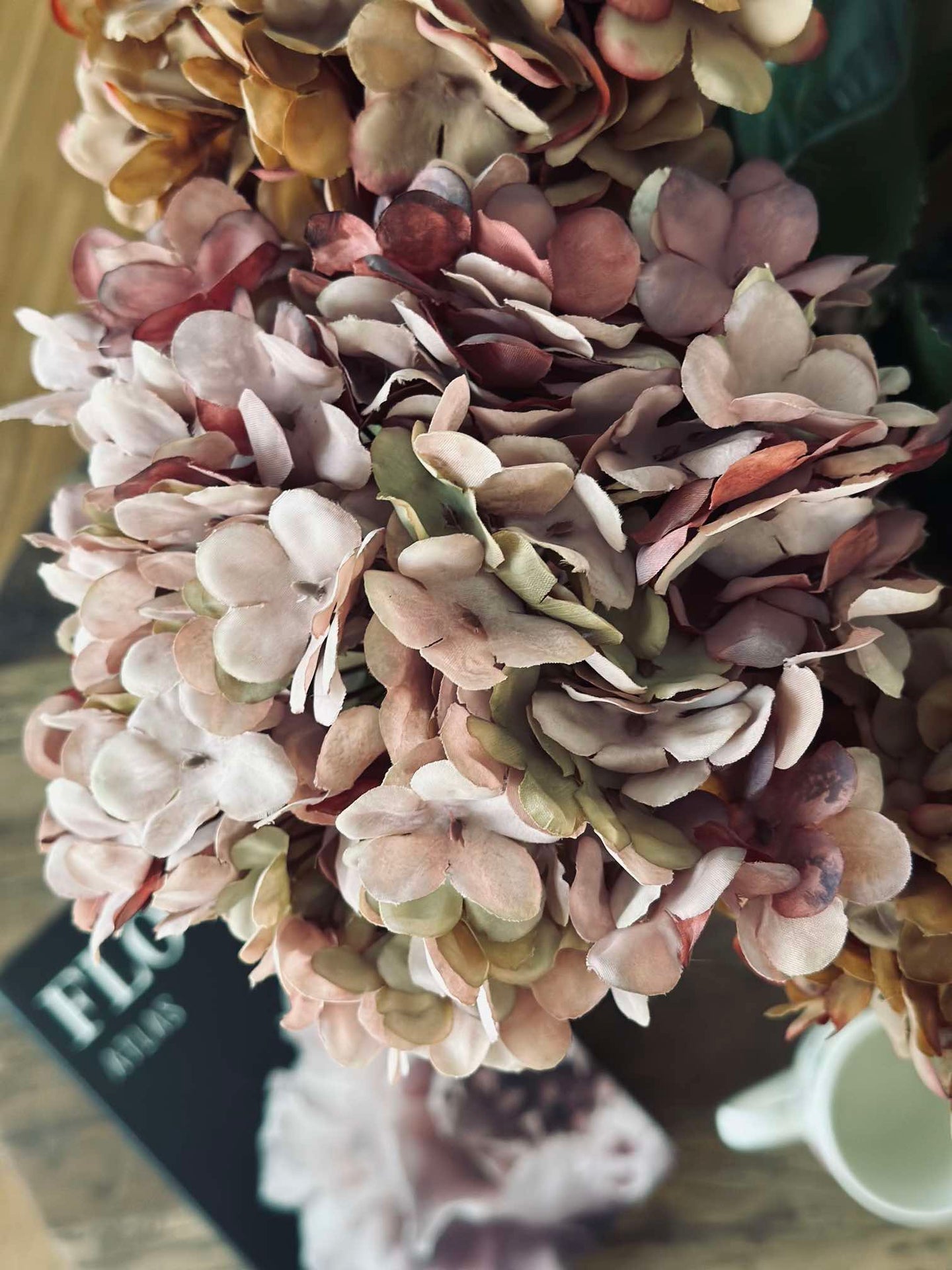 Hortensia Gammal Ros