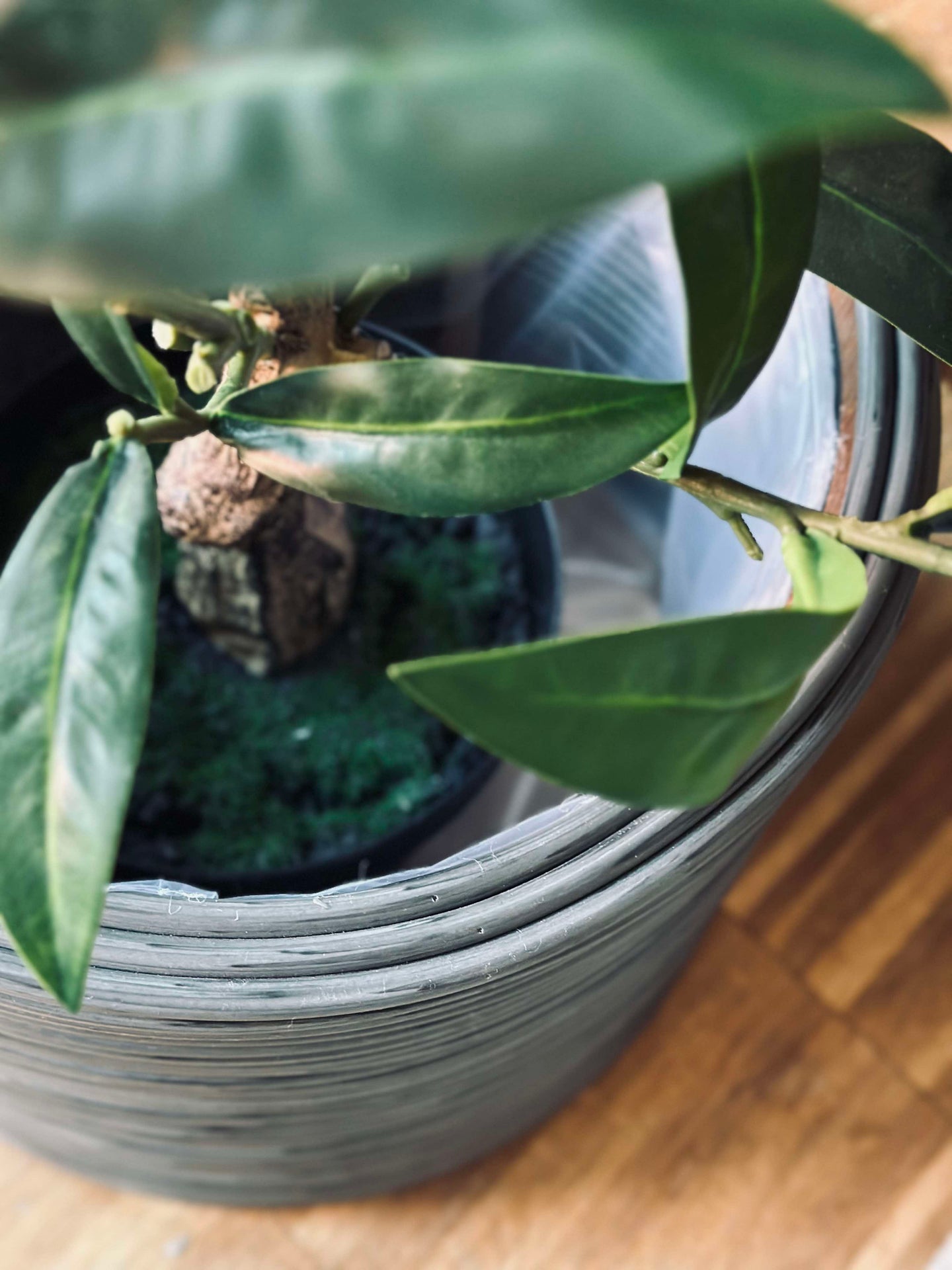 Växtkorg Grå - Set om 3 st.