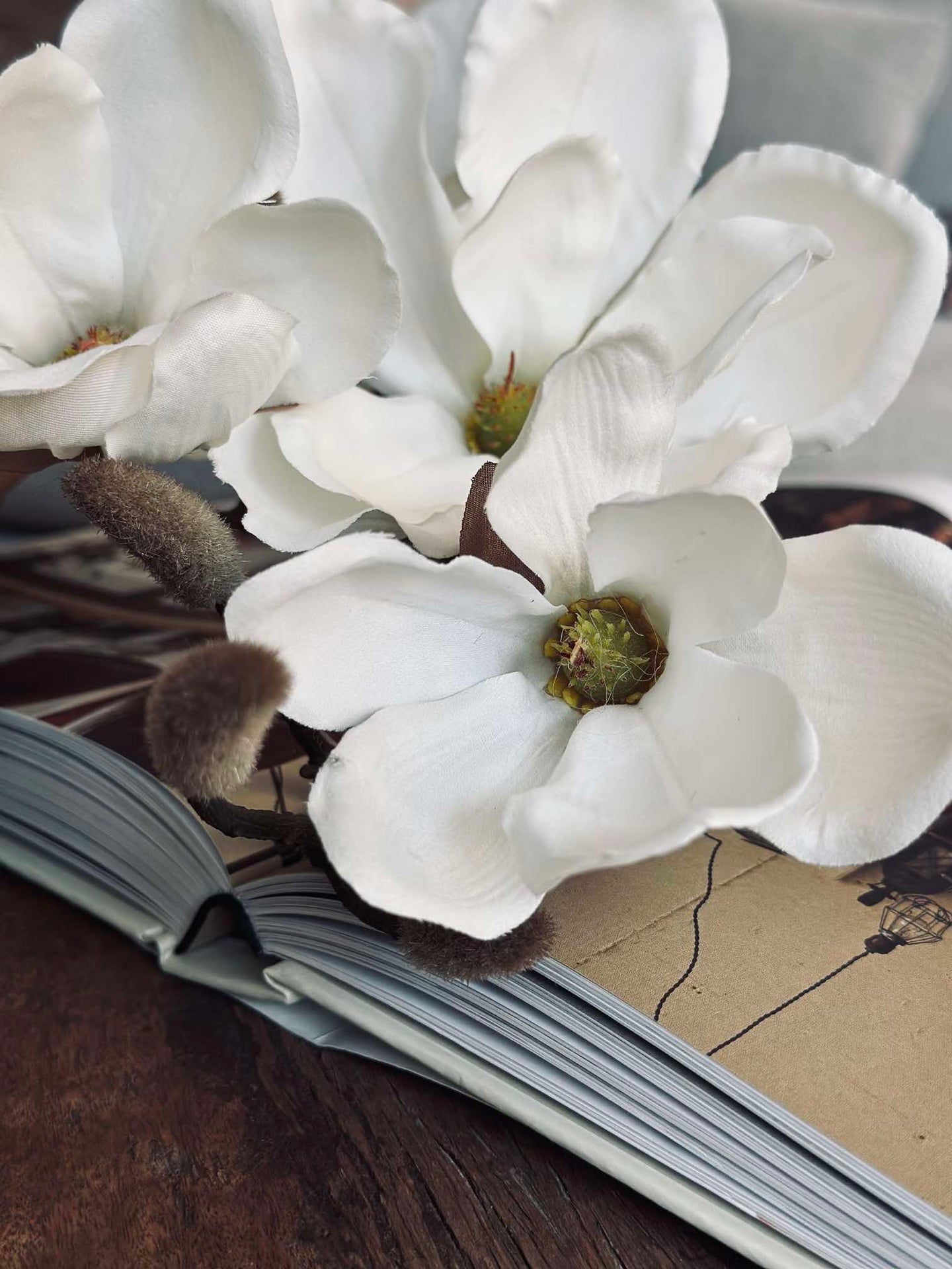 Magnoliakvist - 92 cm