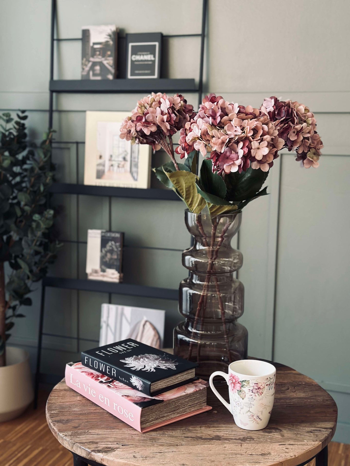 Hortensia Gammal Ros