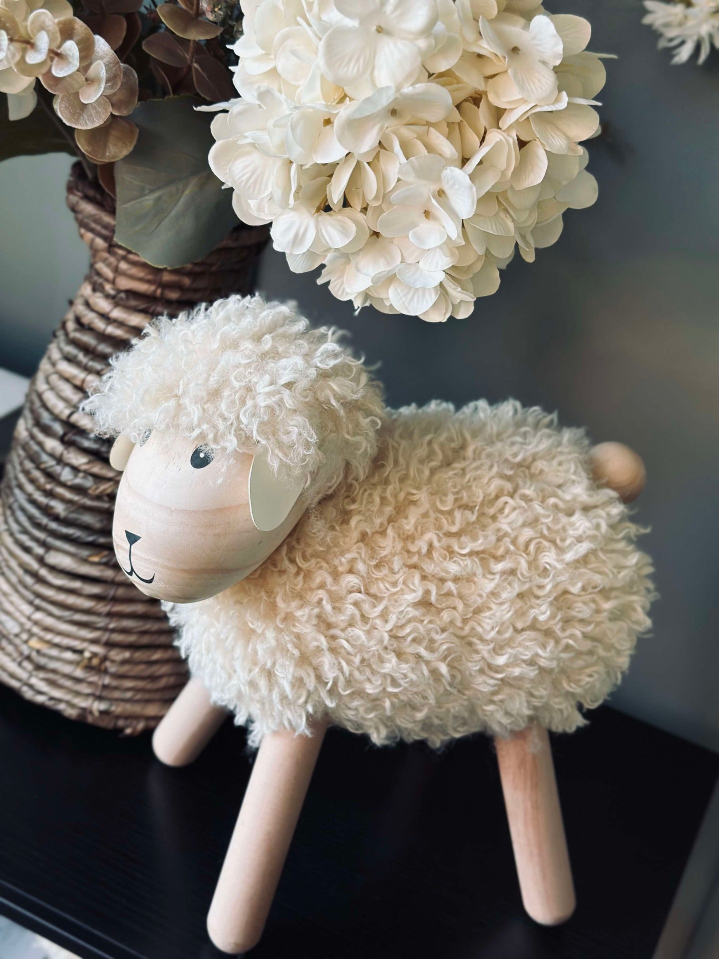 Långhårigt får - Natur XXL