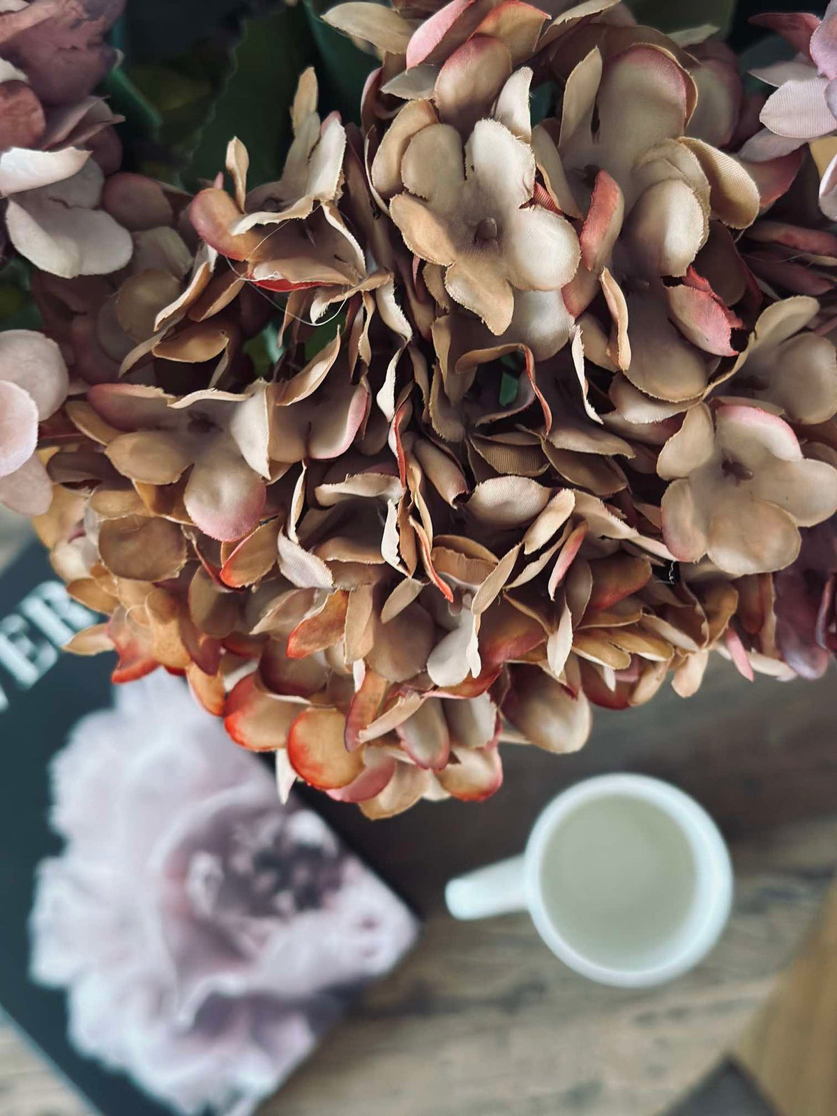 Hortensia - Brända färger