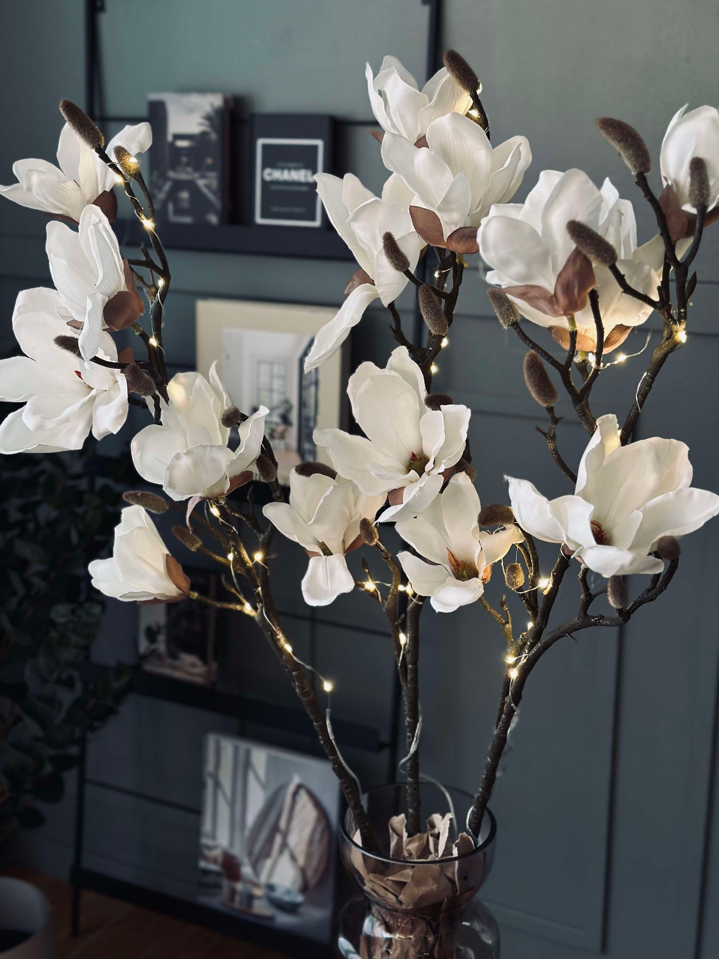 Magnoliagren med ljus