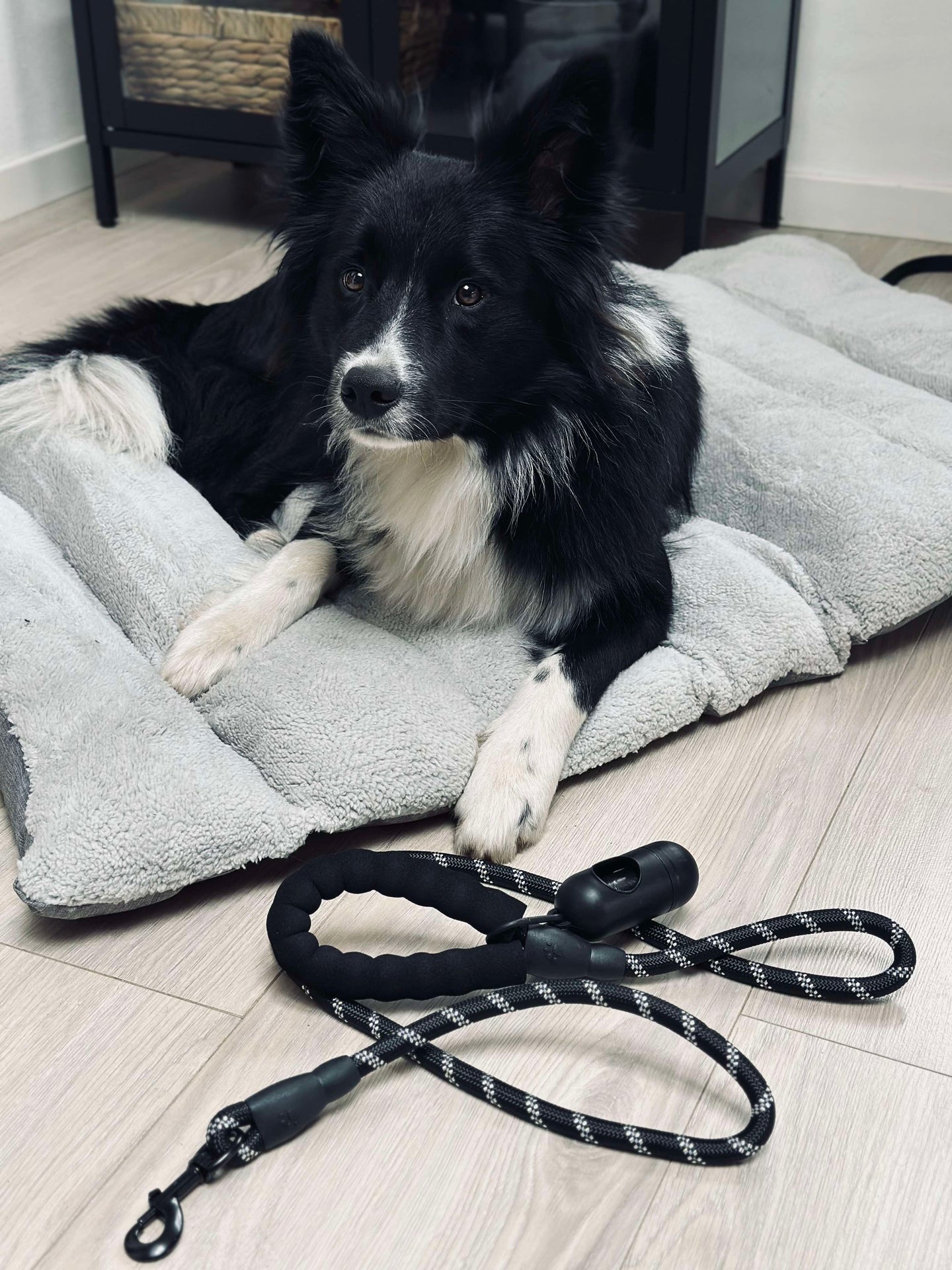 Hundkoppel 1,5 meter med påshållare