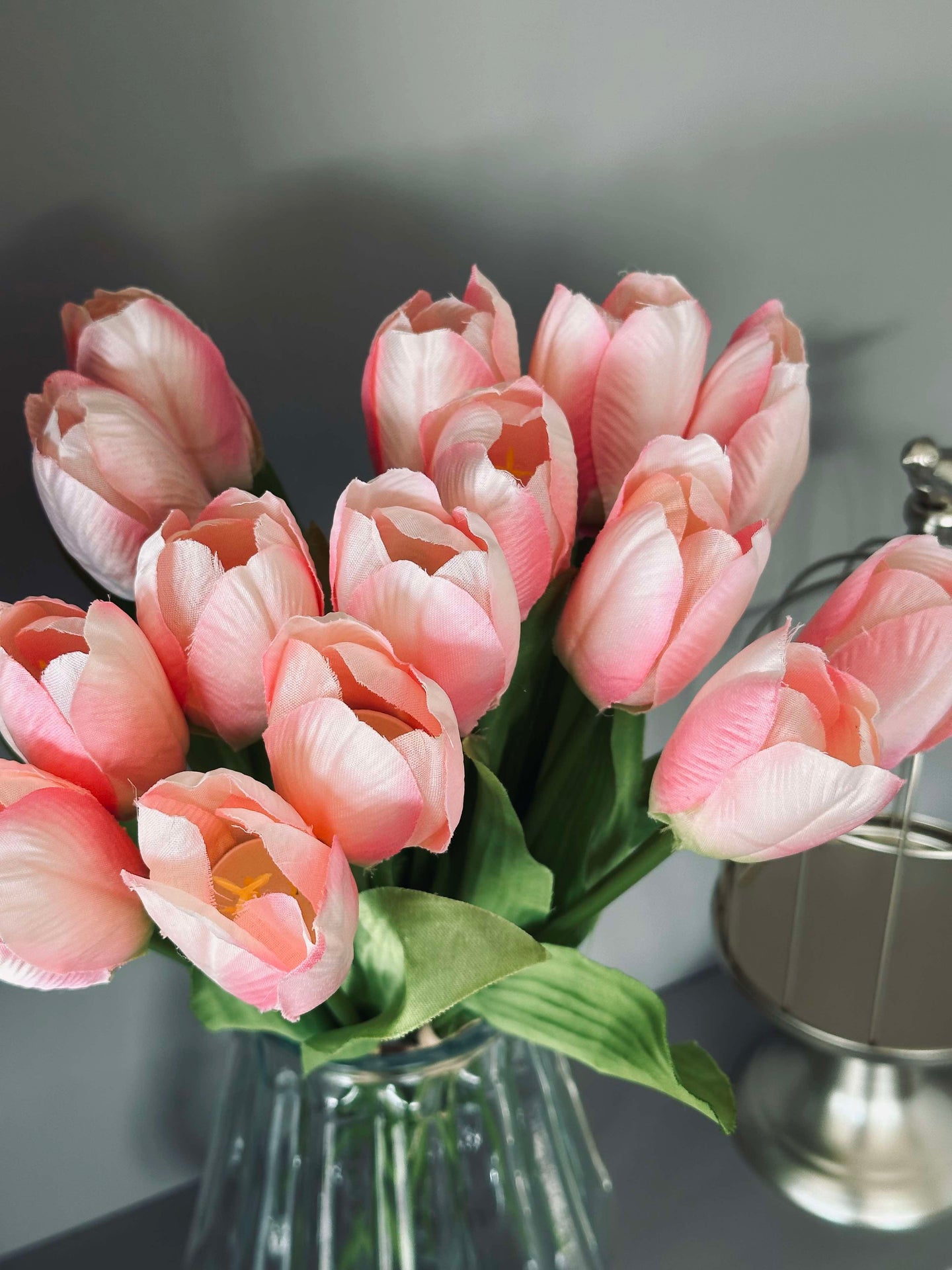 Tulpaner Rosa