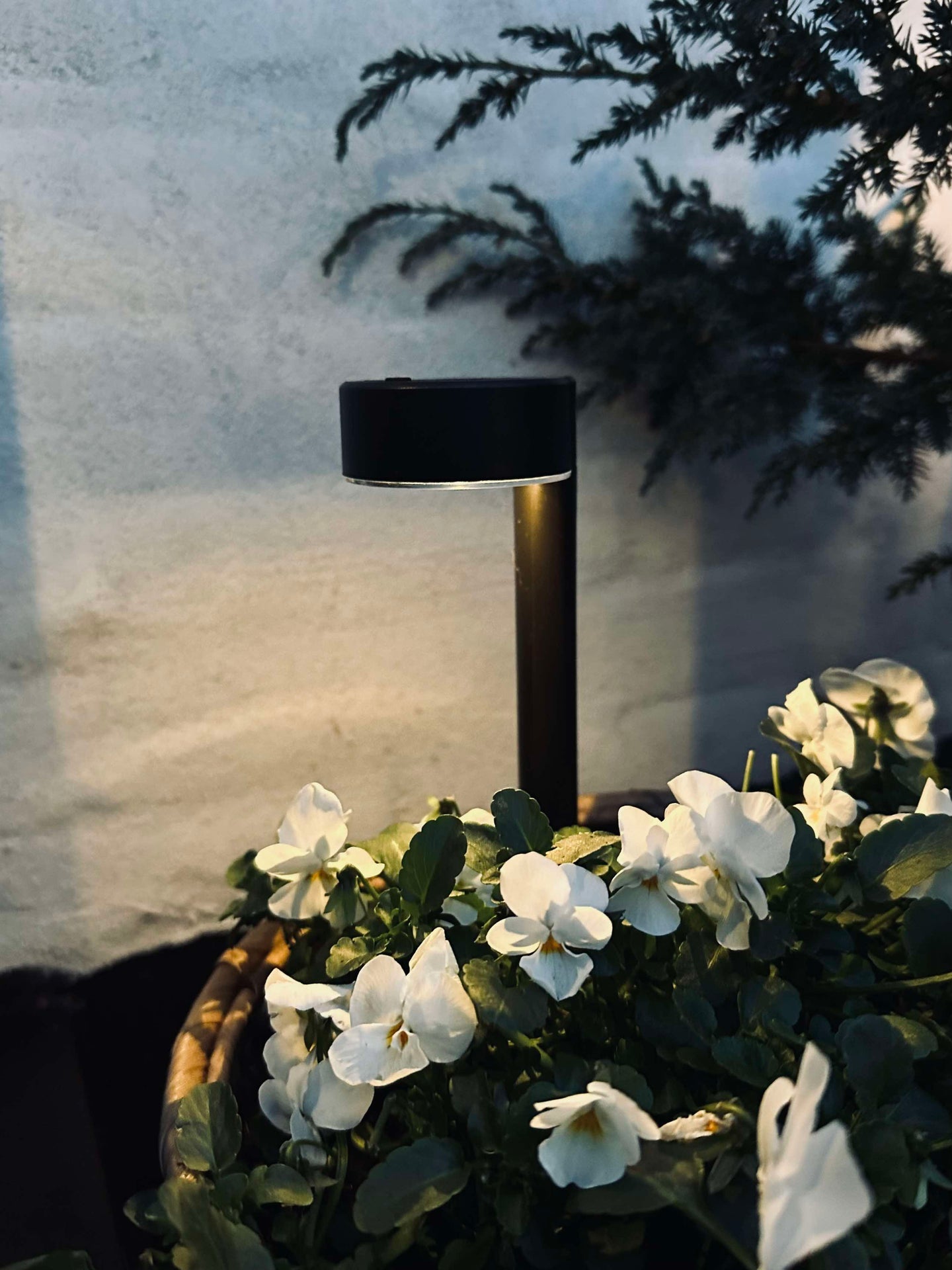 Trädgårdslampa Nancy med solceller – Set om 4 st.