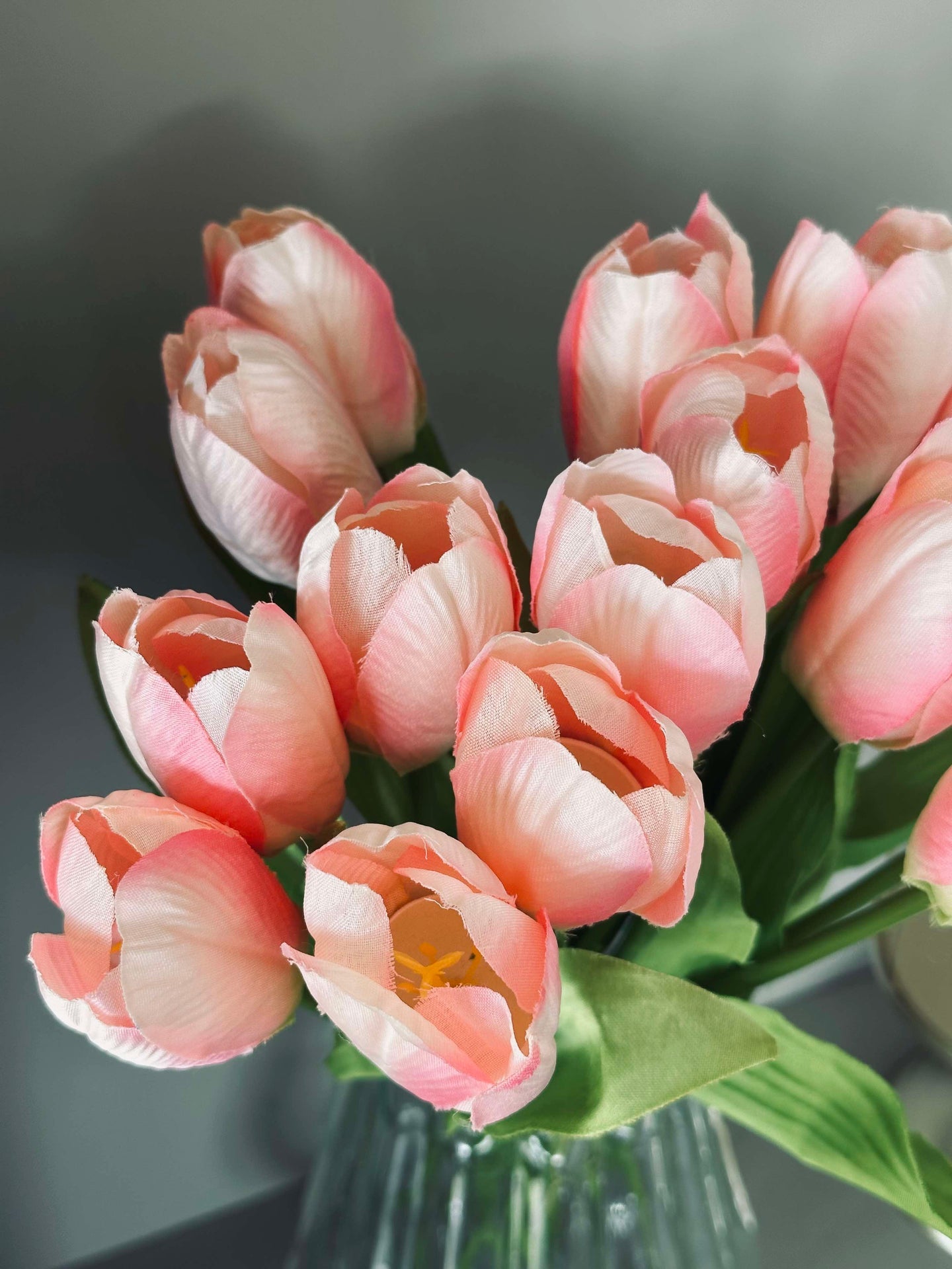 Tulpaner Rosa