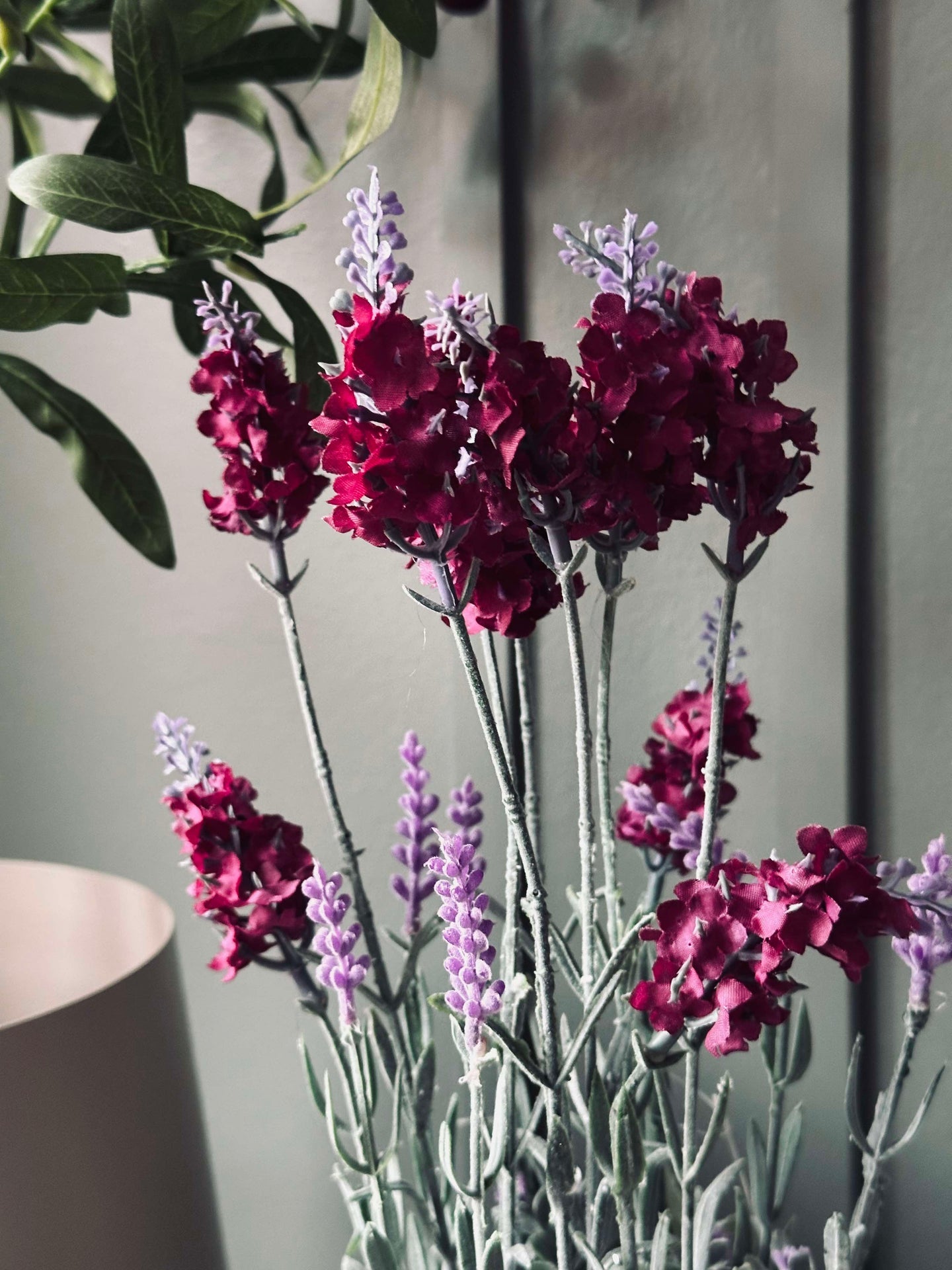 Lavendel 40cm - Hallon