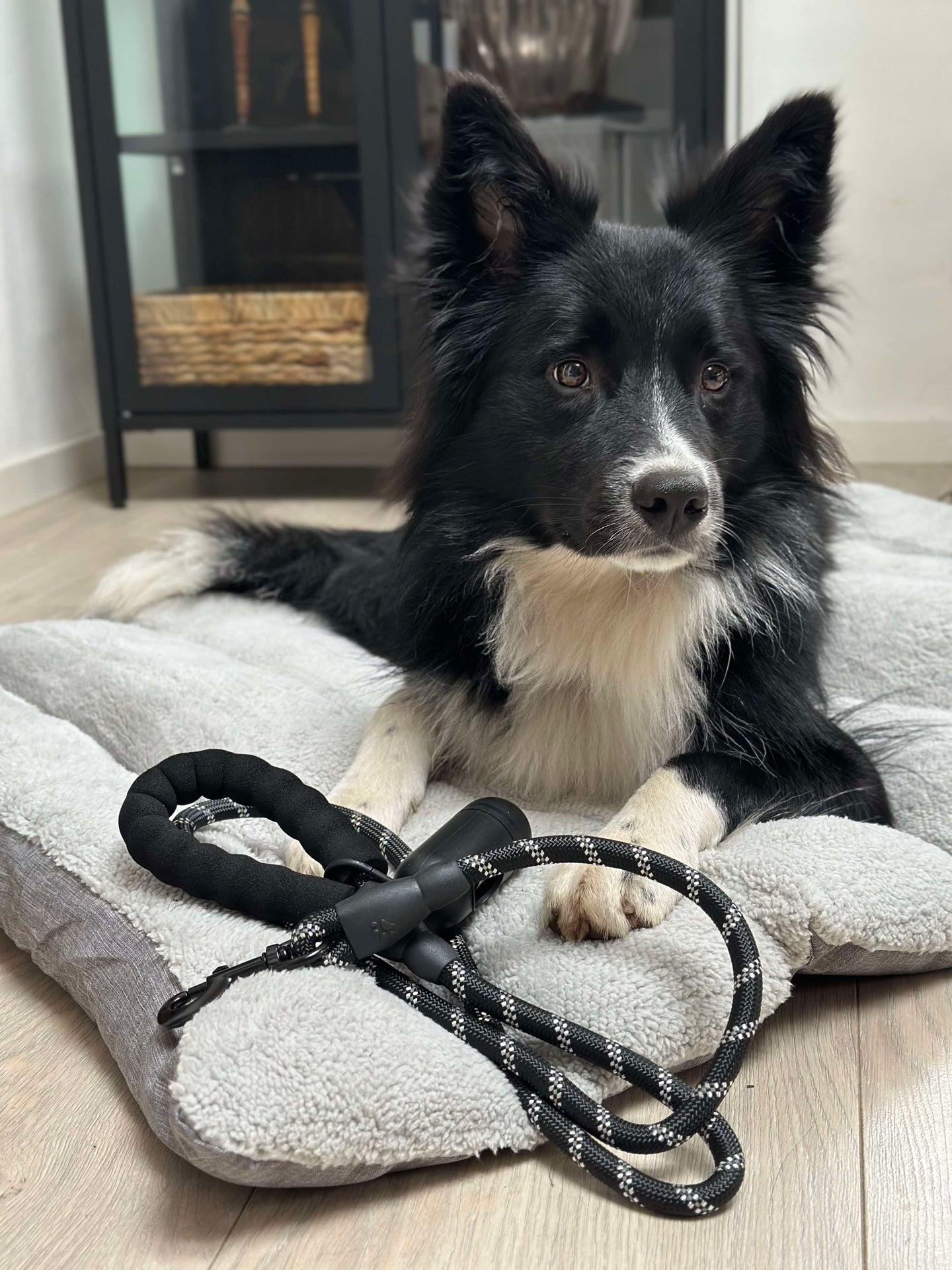 Hundkoppel 1,5 meter med påshållare