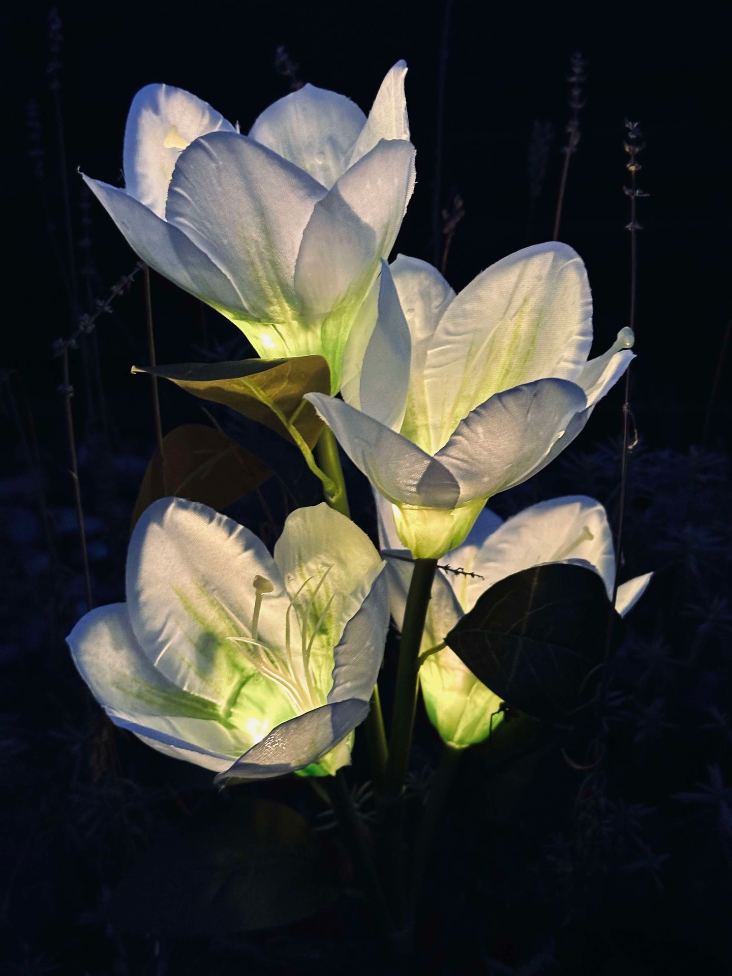 Magnolia med solceller - Vit
