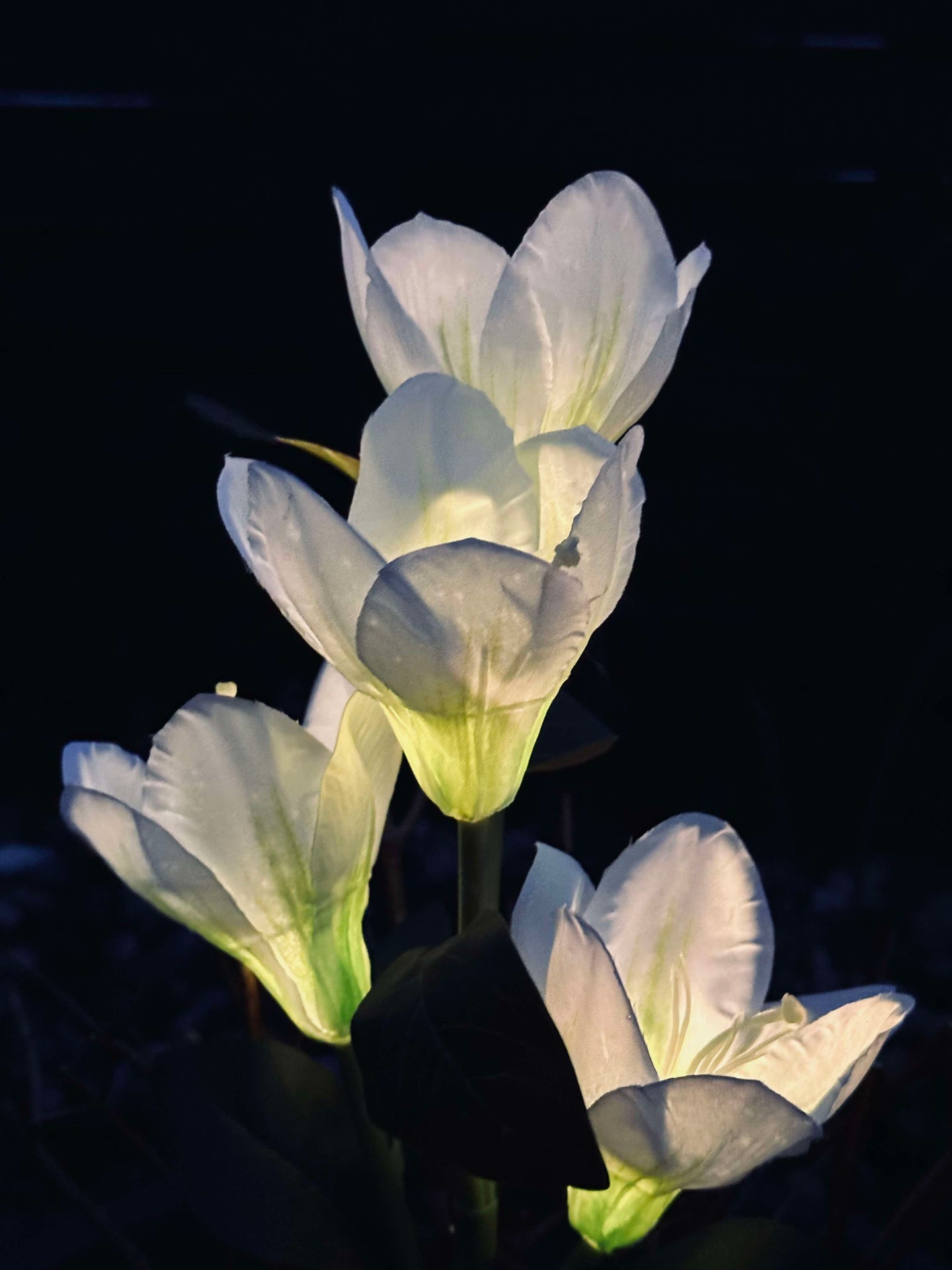 Magnolia med solceller - Vit