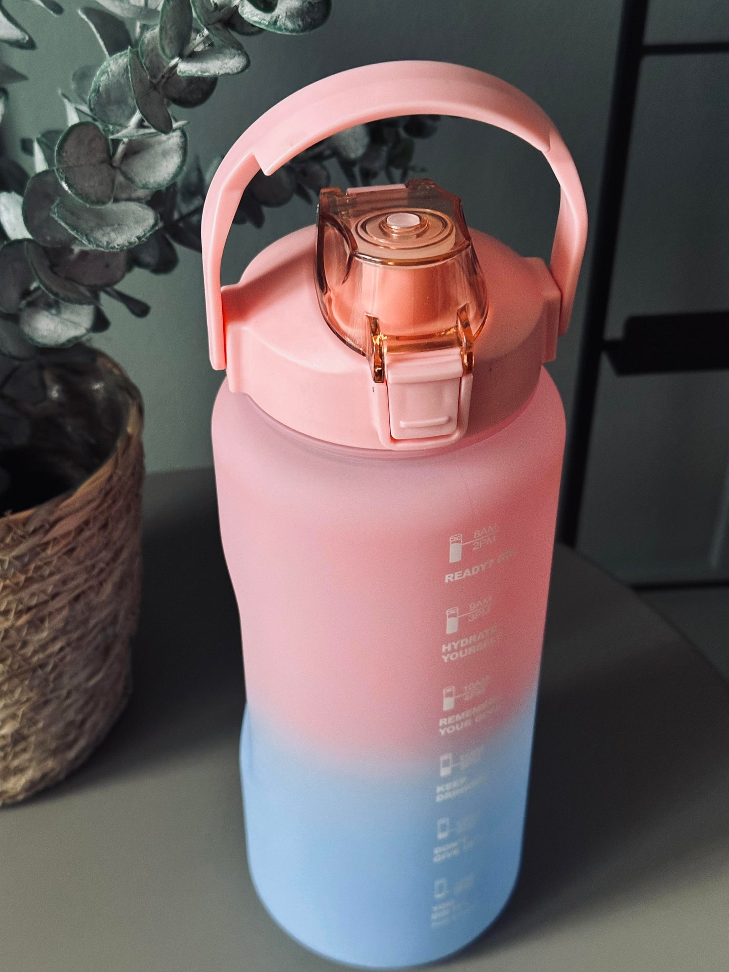Vattenflaska 2000 ml - Rosa / Blå
