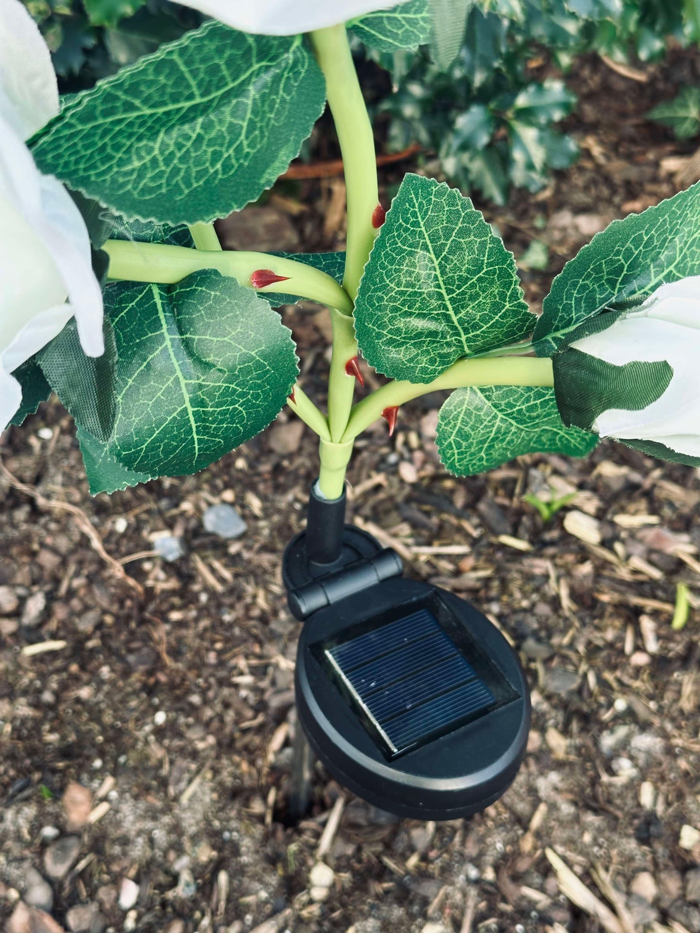 Ros med solceller - Vit