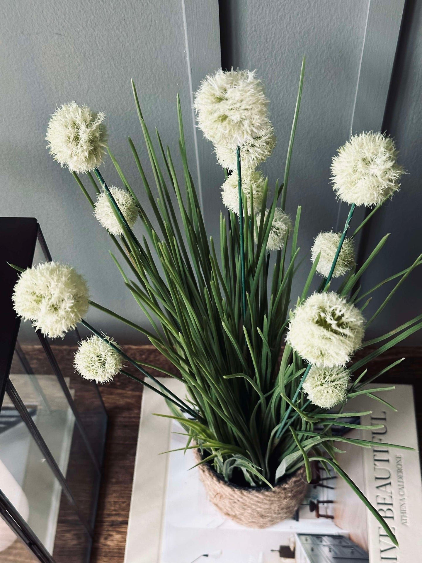 Blomma i kruka