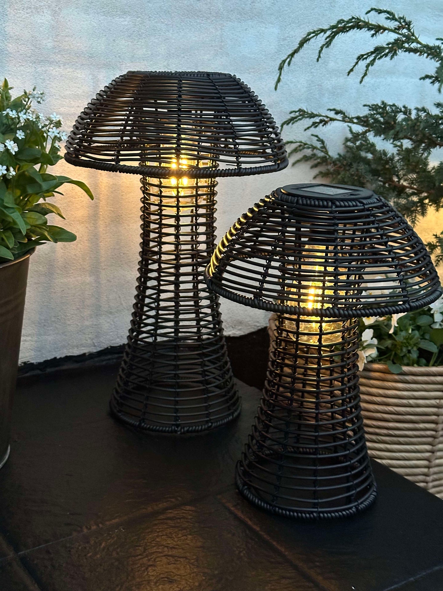 Svamp Solcell - Svart Liten