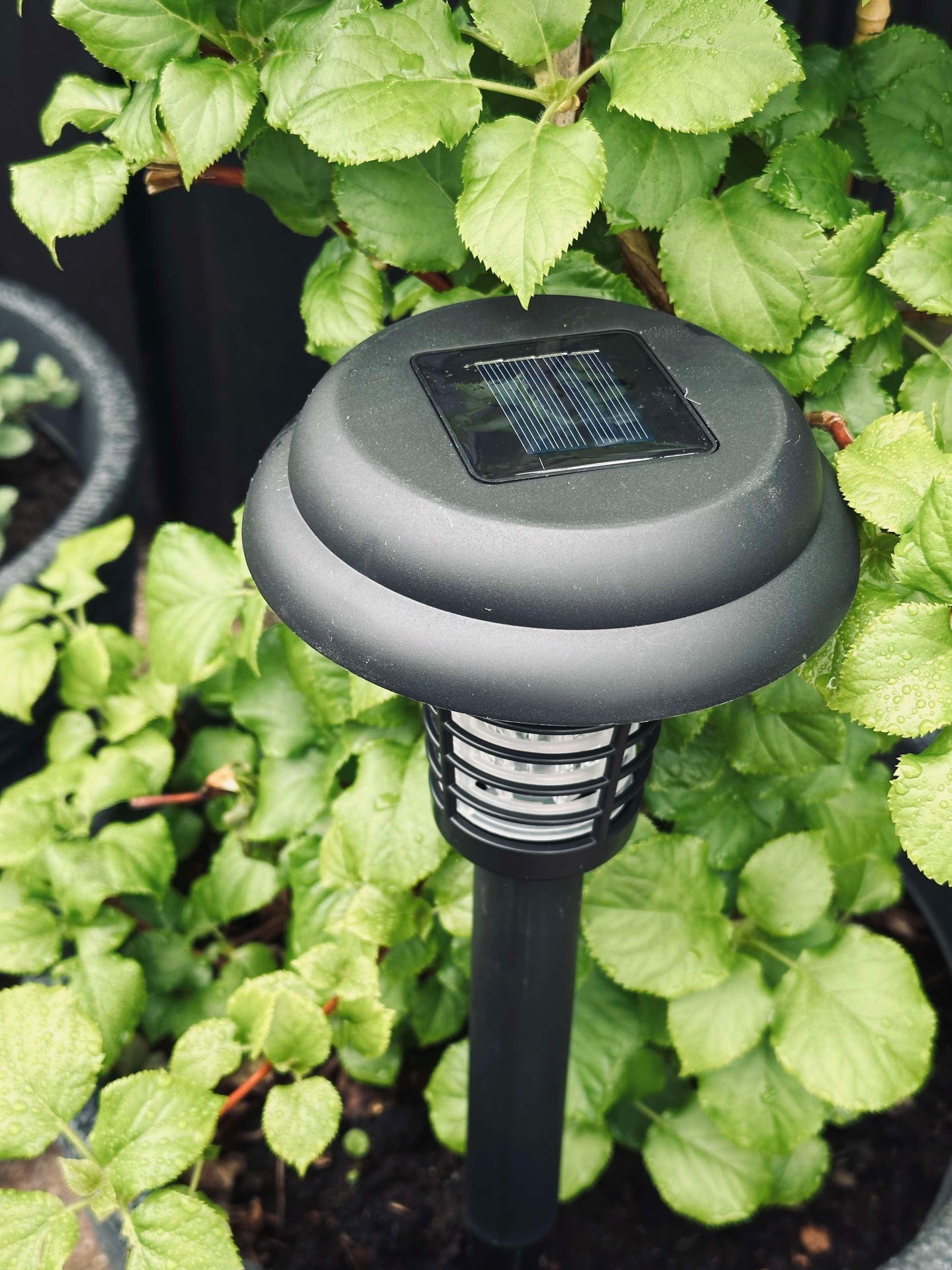 Fackla MOSQUITO 2IN1 SOLAR