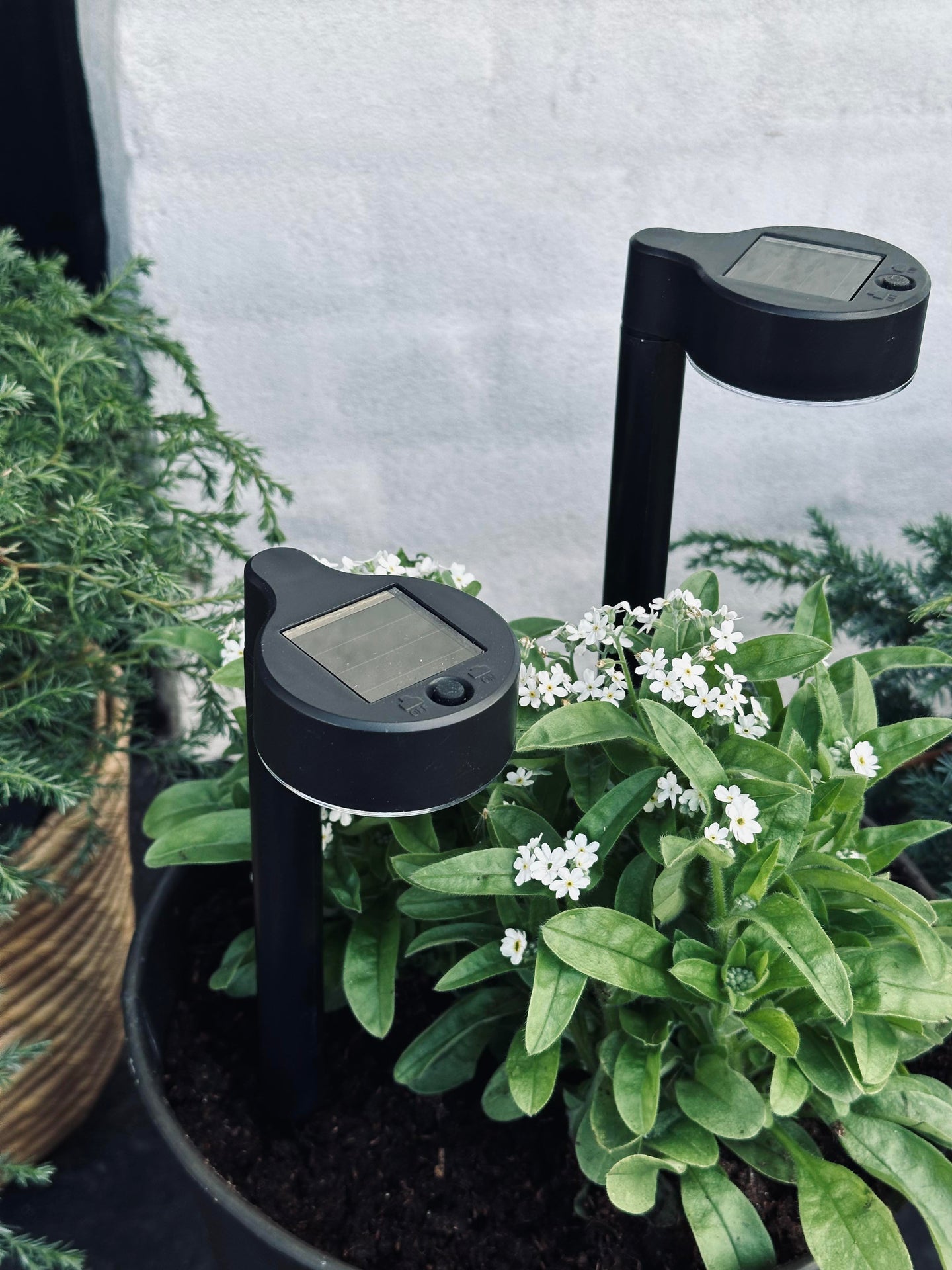 Trädgårdslampa Nancy med solceller – Set om 4 st.