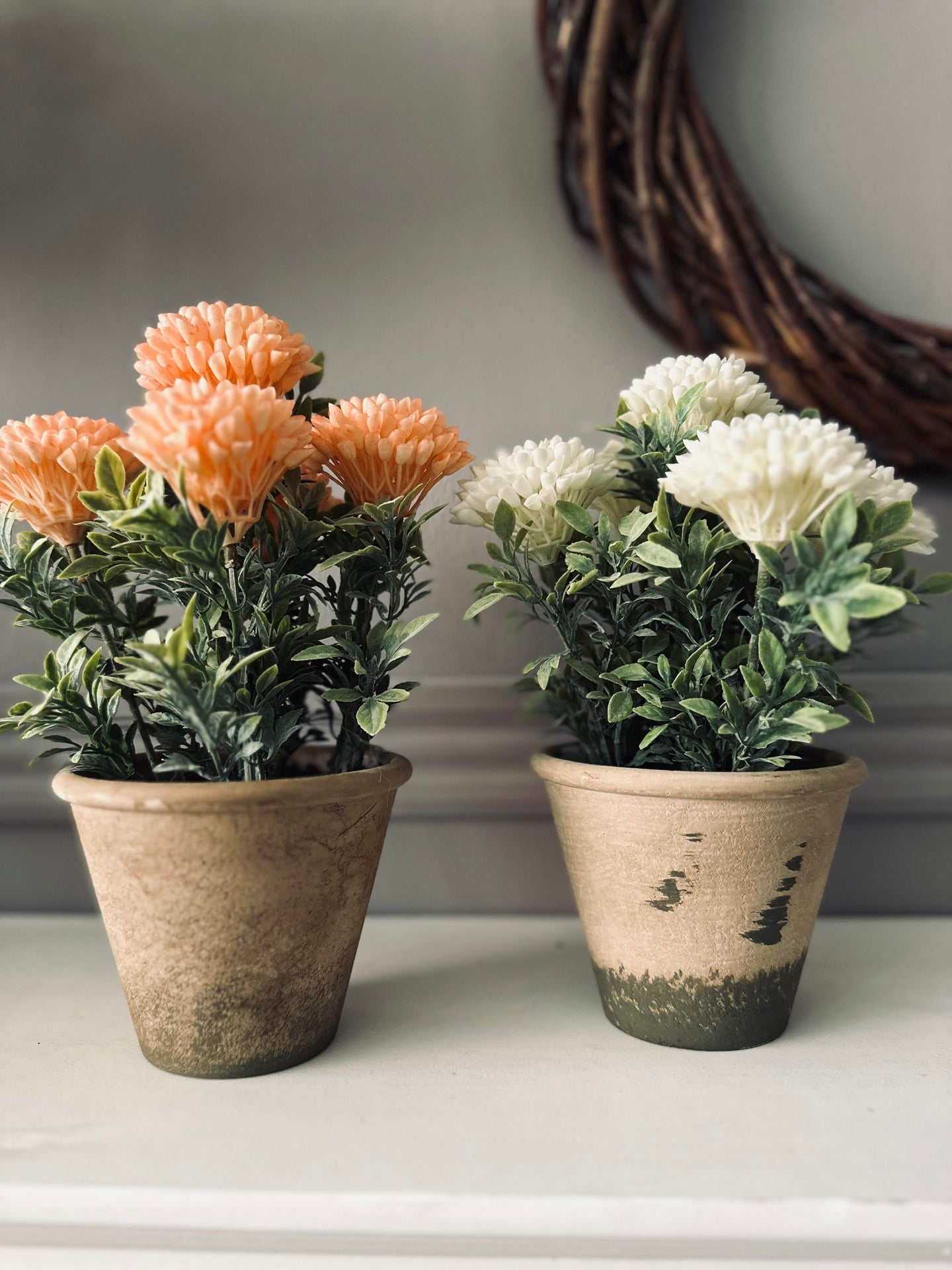 Blomma i rustik kruka - Korall