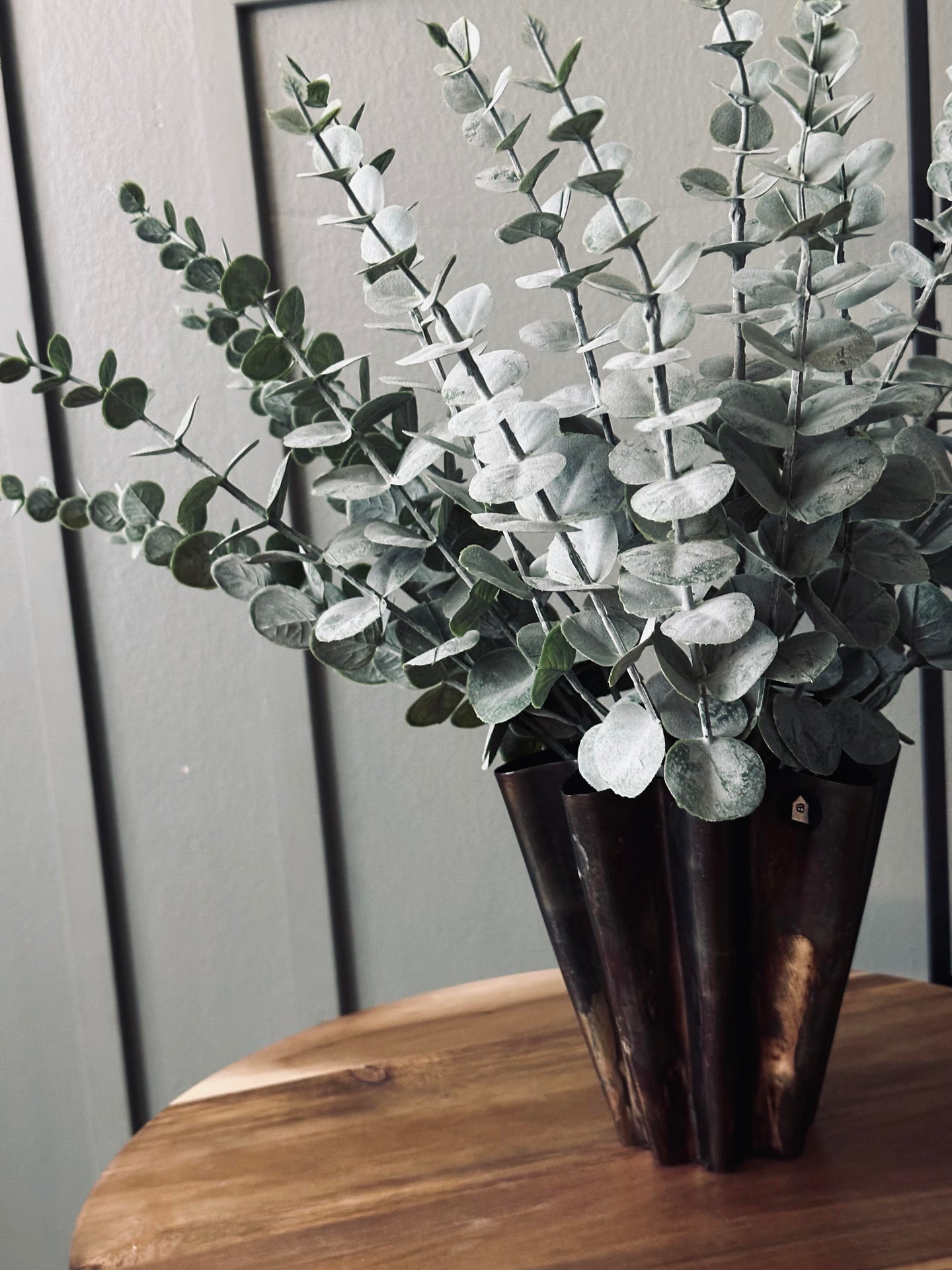 Eukalyptus på stjälk