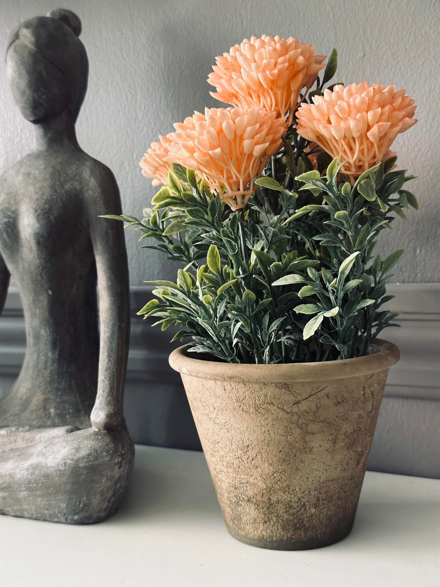 Blomma i rustik kruka - Korall