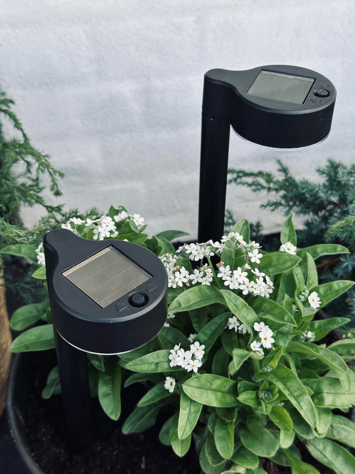 Trädgårdslampa Nancy med solceller – Set om 4 st.