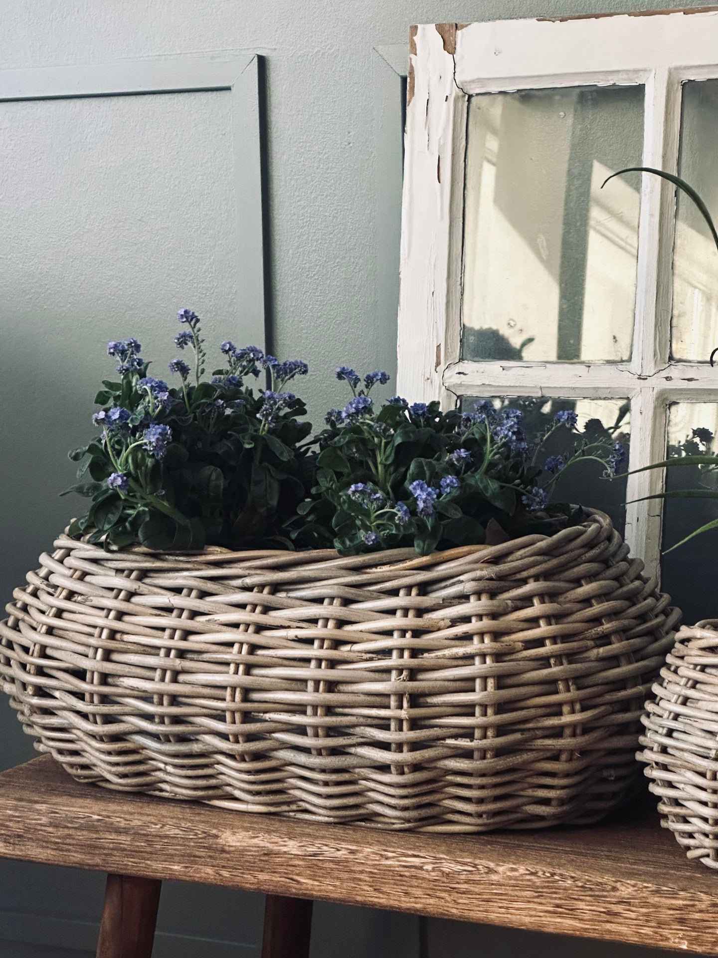 Planteringskorgar - Set med 2 st. Oval rotting