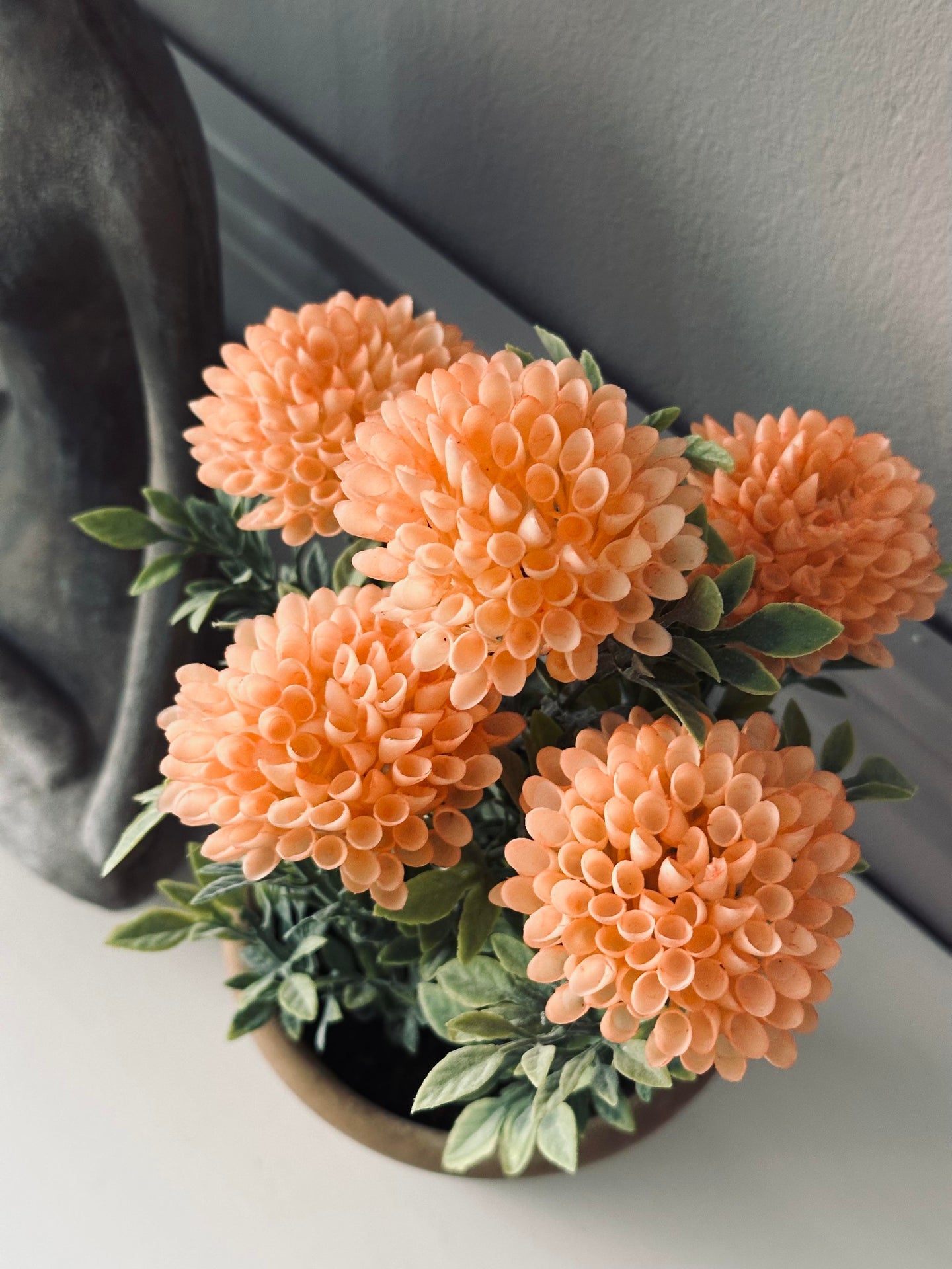 Blomma i rustik kruka - Korall