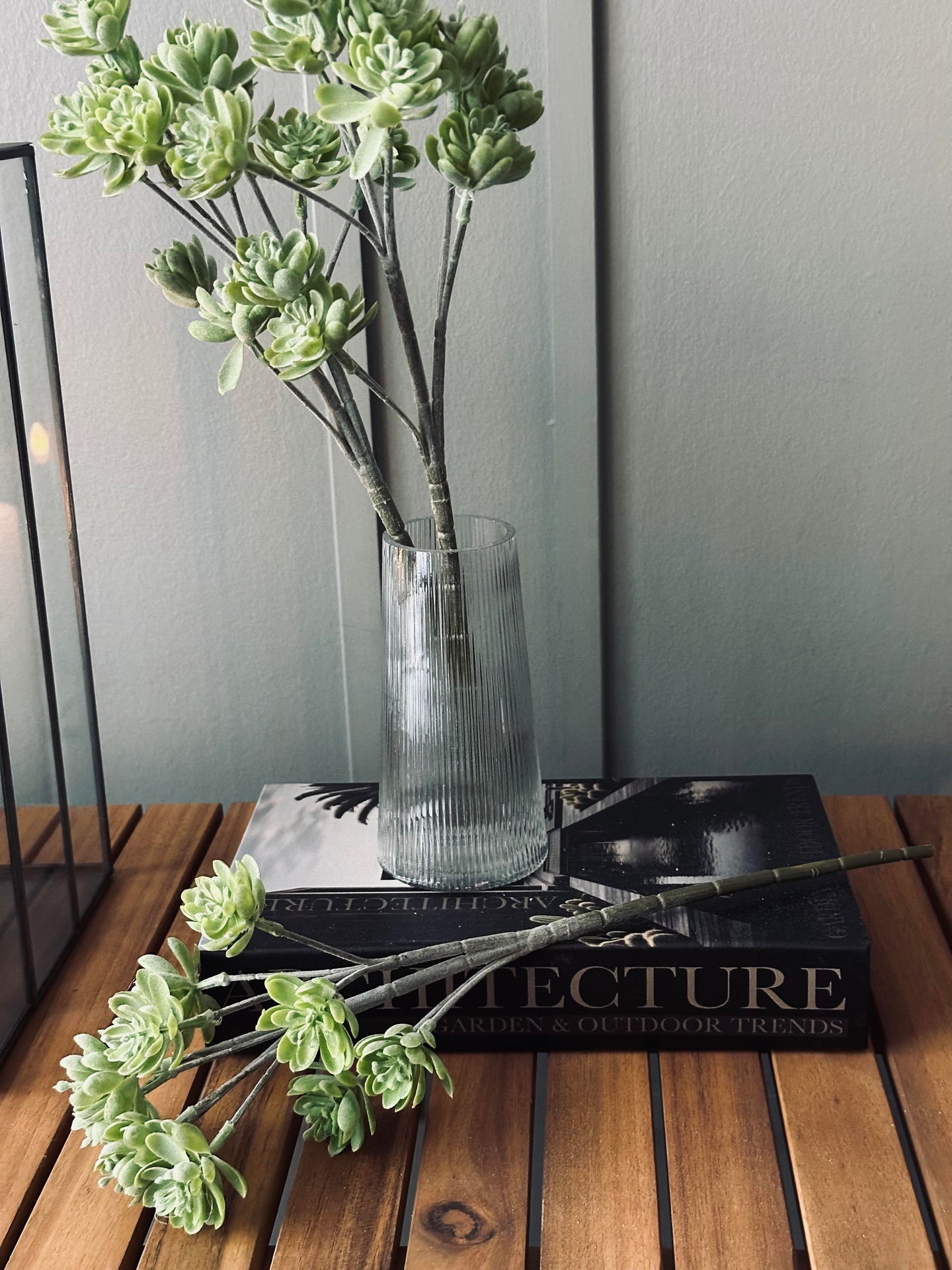 Suckulent på stjälk