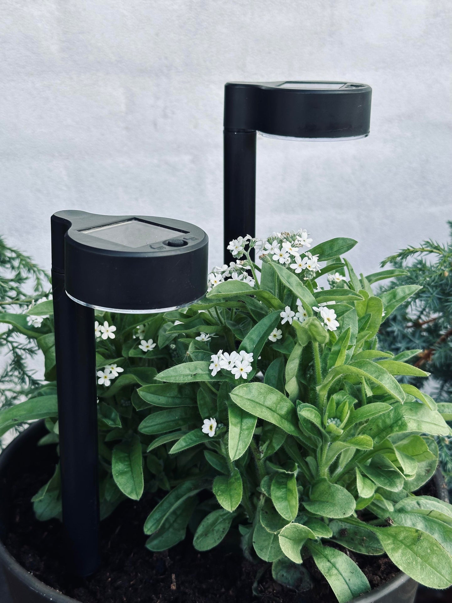 Trädgårdslampa Nancy med solceller – Set om 4 st.