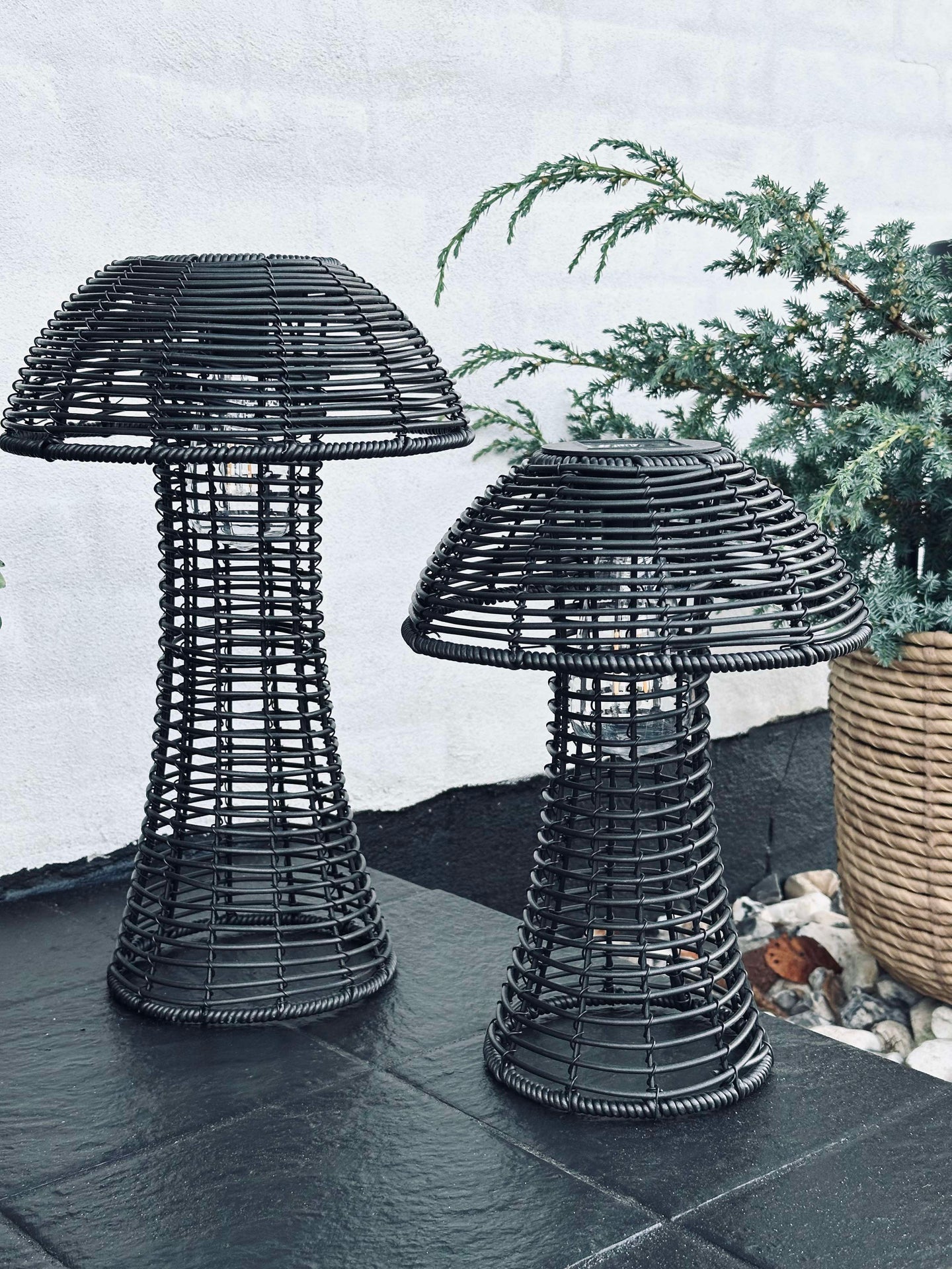 Mushroom Solar - Black Large