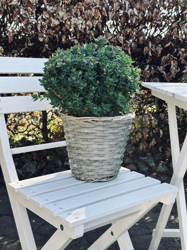 Planteringskorg 20 cm