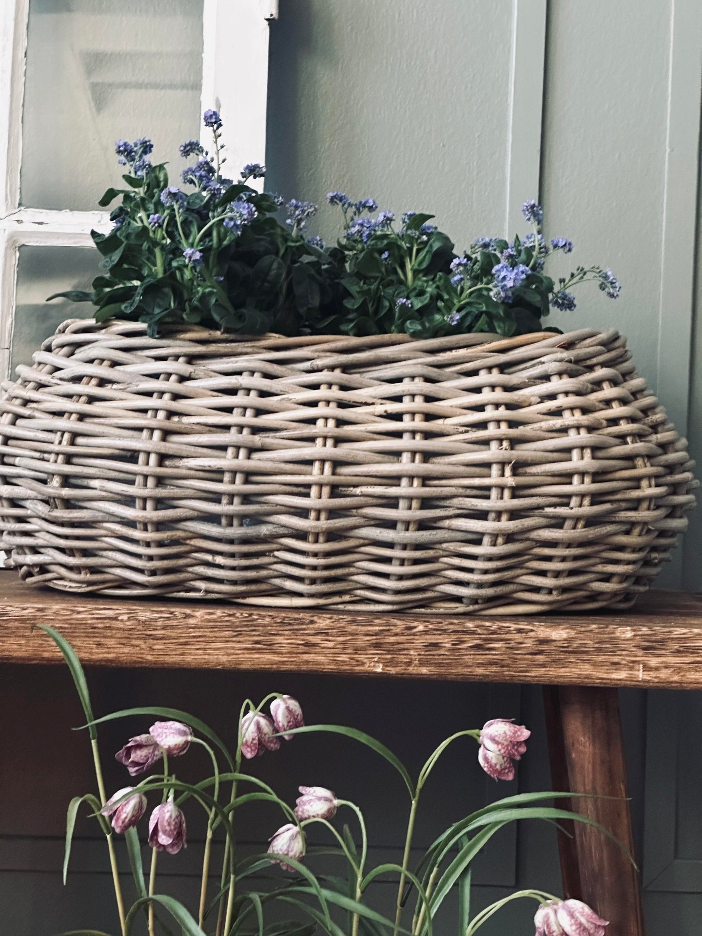 Planteringskorgar - Set med 2 st. Oval rotting