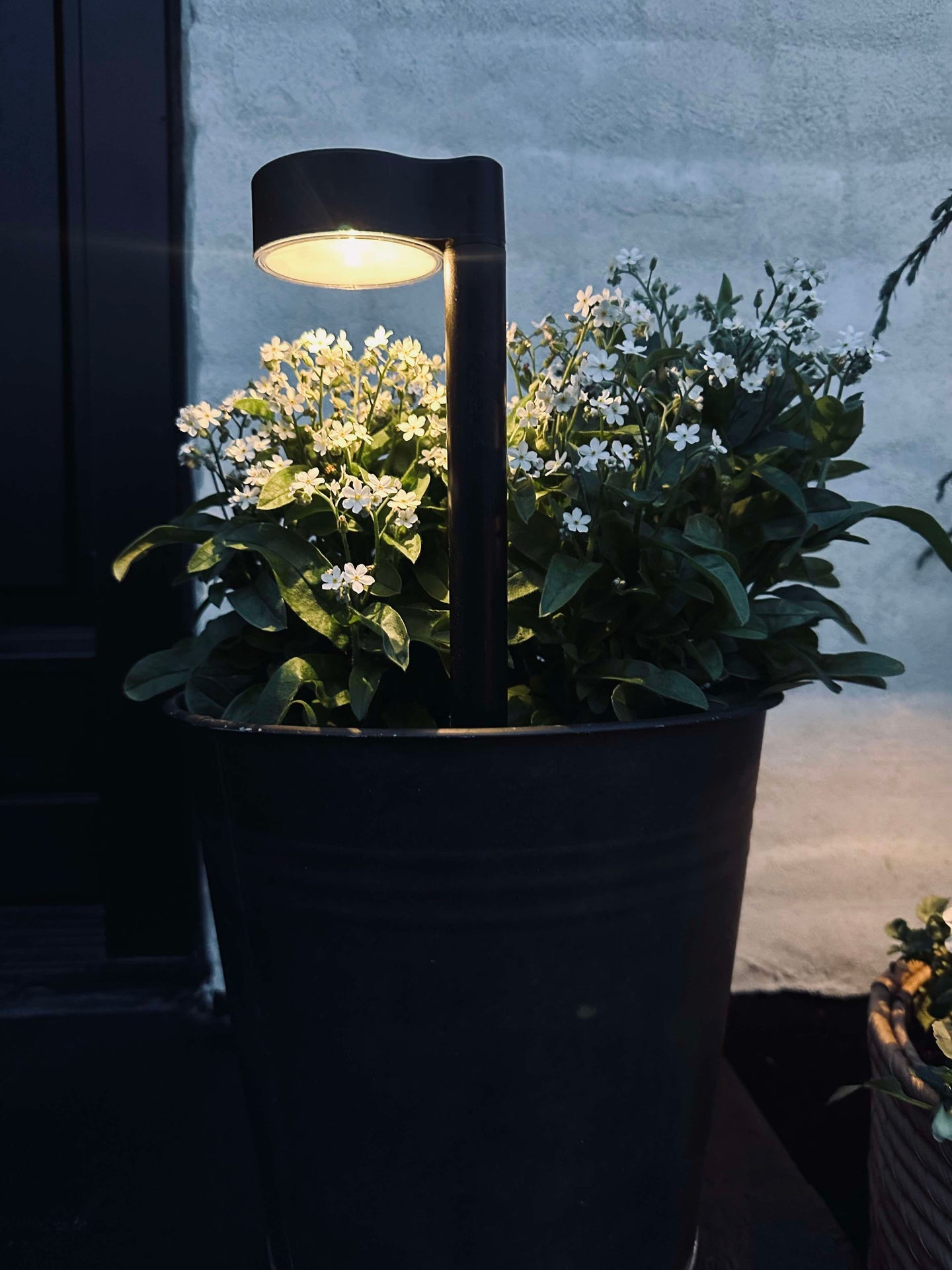 Trädgårdslampa Nancy med solceller – Set om 4 st.