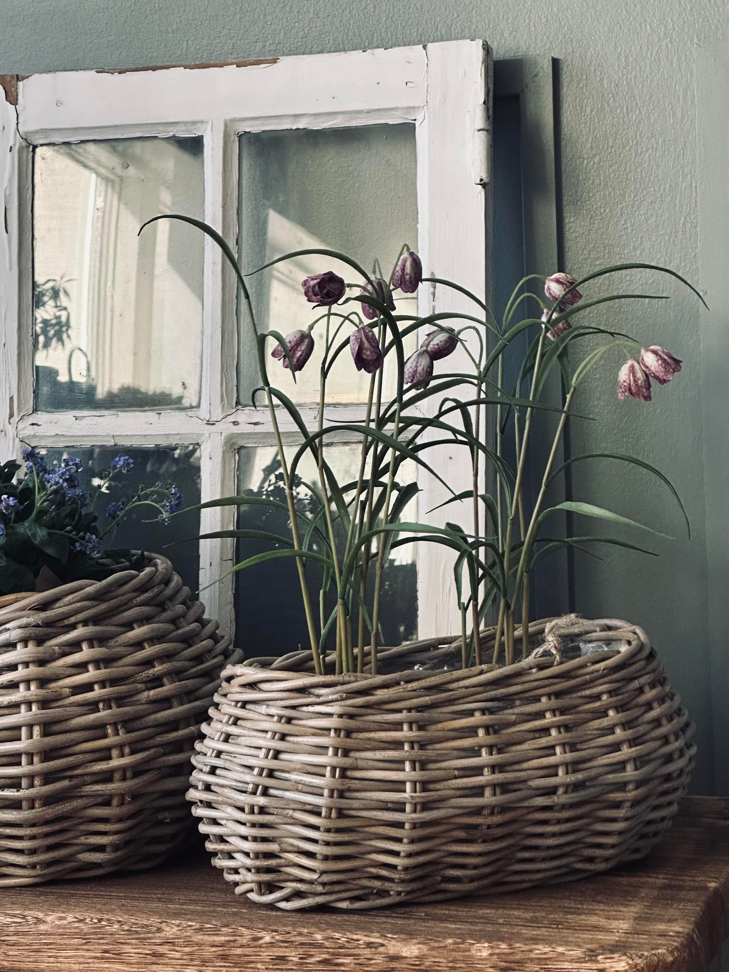 Planteringskorgar - Set med 2 st. Oval rotting